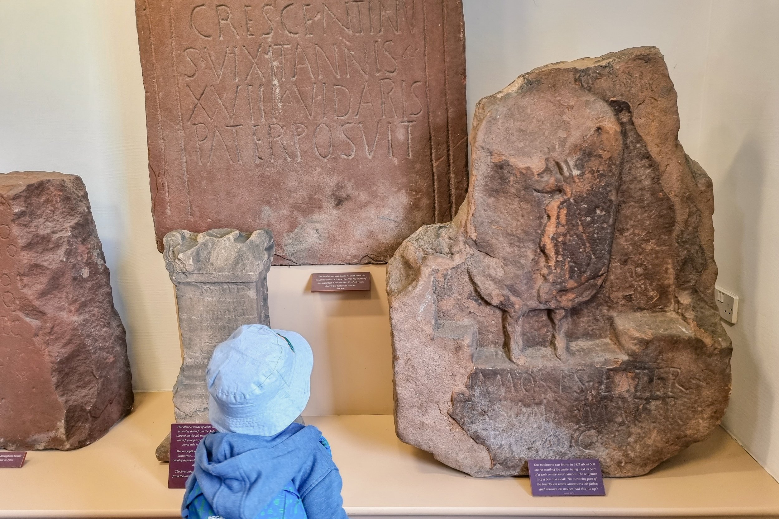 Munchkin in the Brougham Castle exhibition 