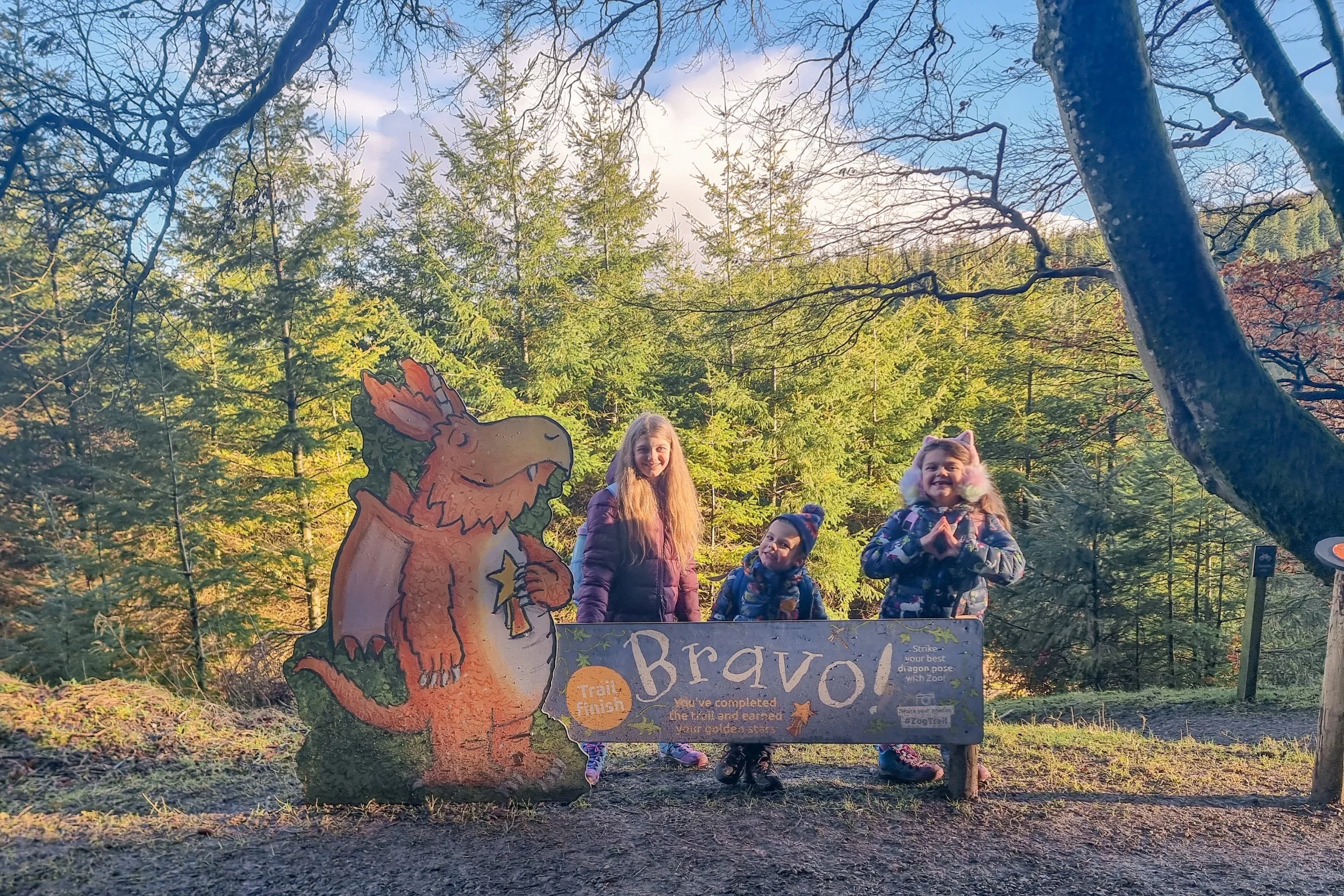 The Zog Trail at Whinlatter Forest | Exploring Cumbria