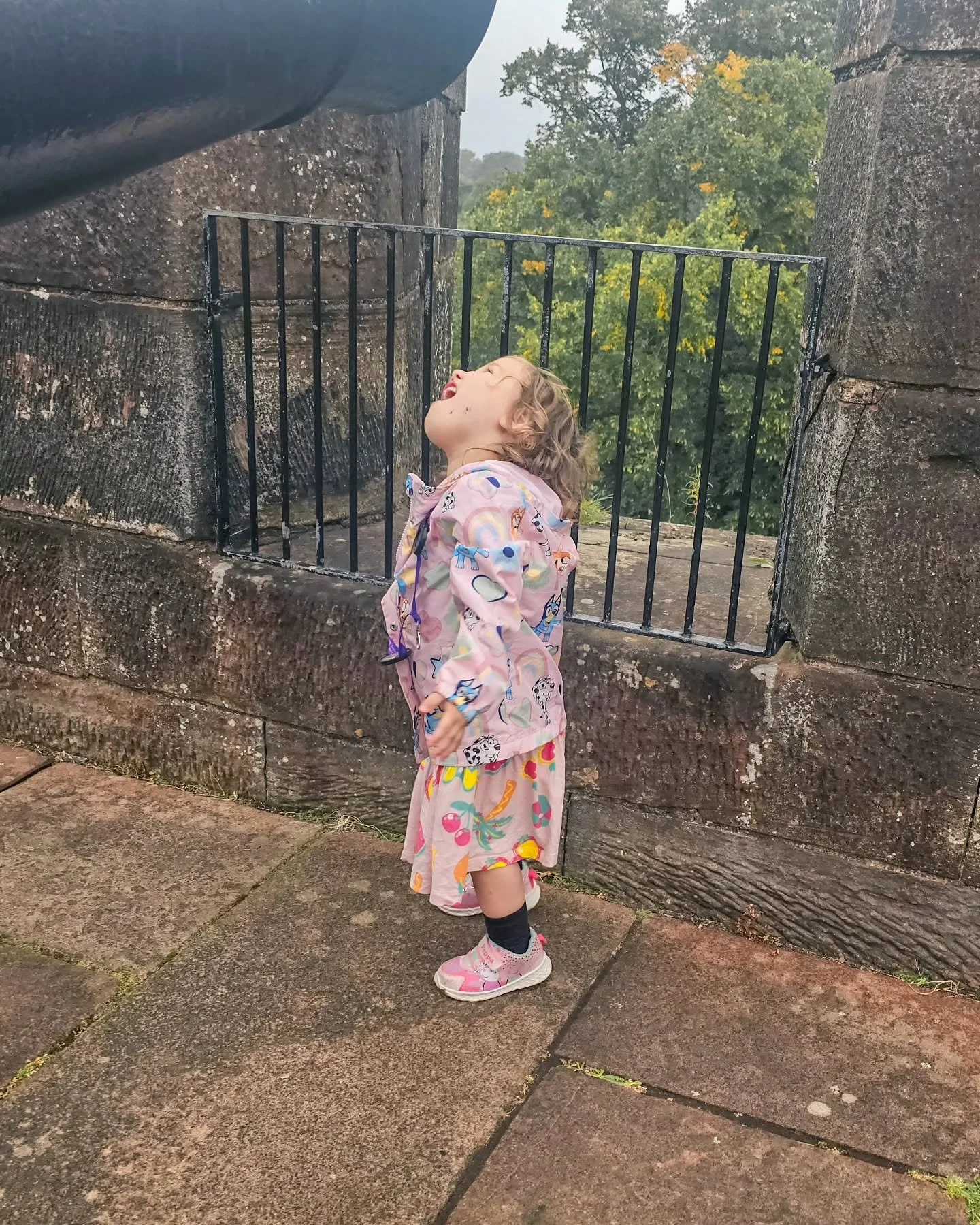 The process of discovering cannons at Carlisle Castle... being wowed by one and realising there's another!