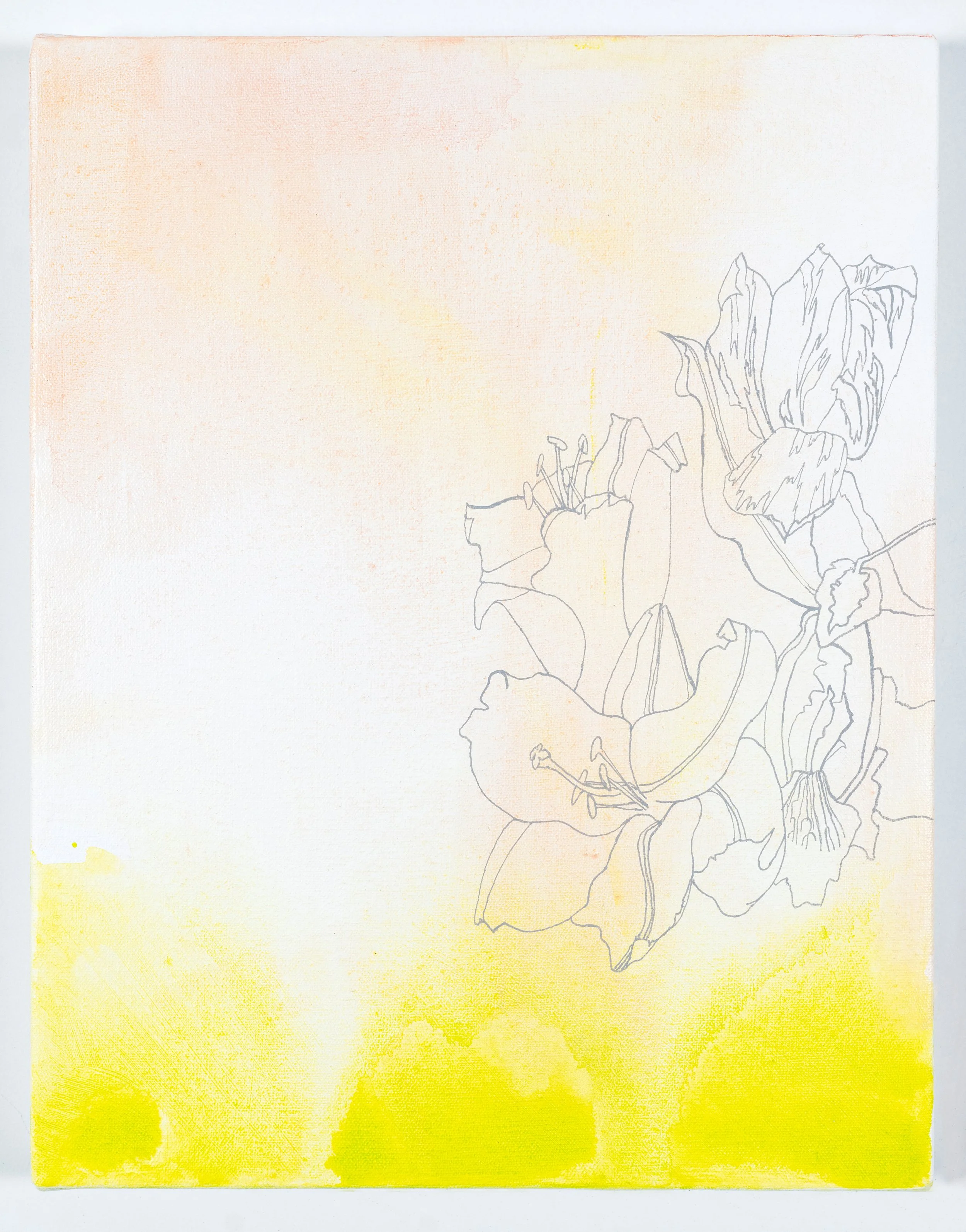13 Roberts_Rachel's Flowers_hi res.jpg