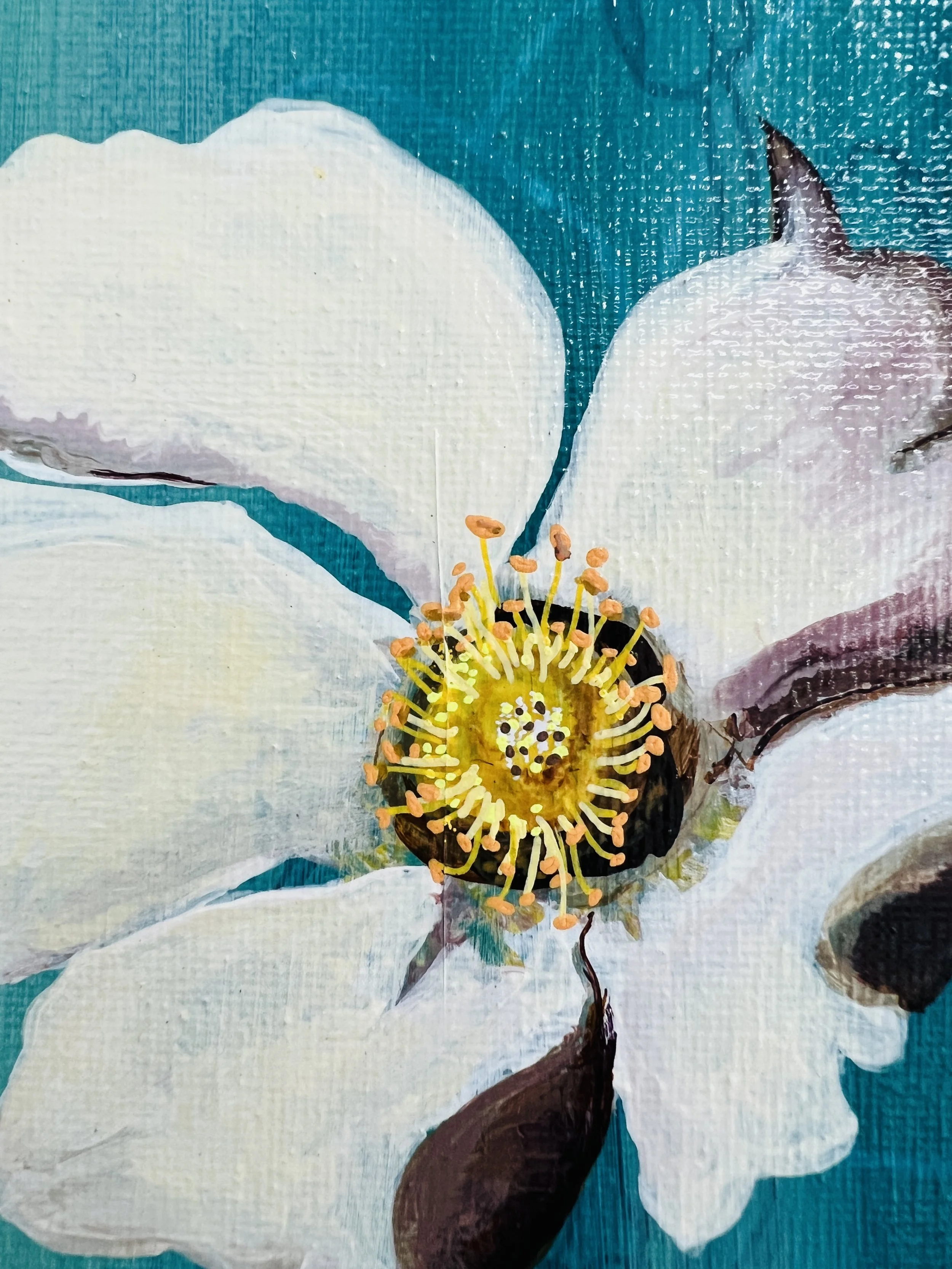 Cherokee Rose detail.jpg