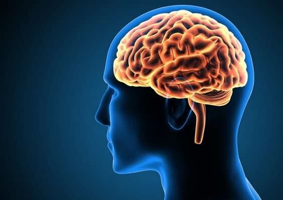 We studied young adults with a history of hypomanic episodes or mood elevations— a history of having repeated, exaggerated highs and lows in mood.