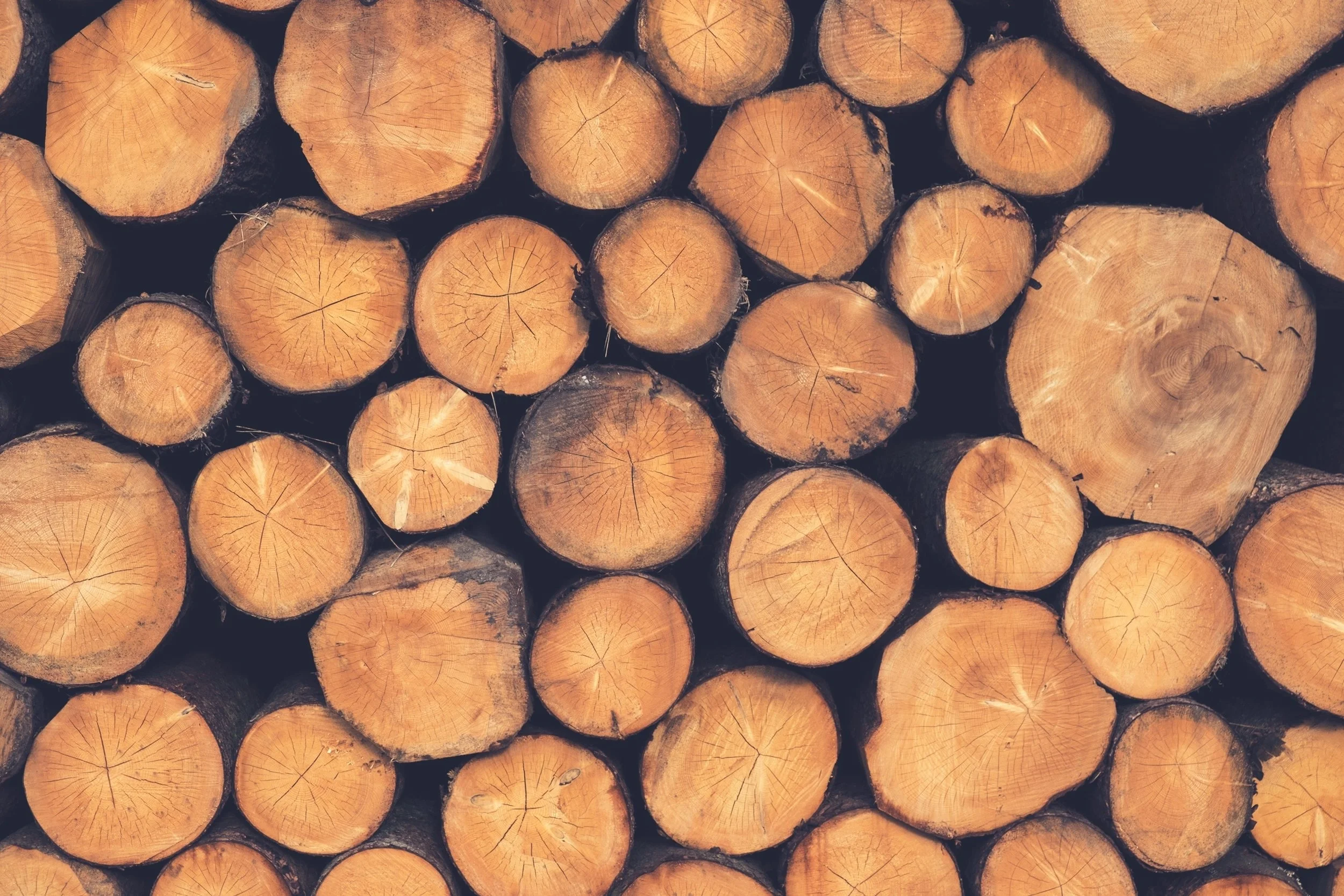 Cut Logs