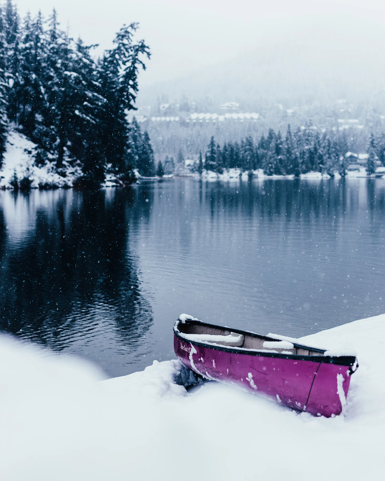 PURPLE CANOE