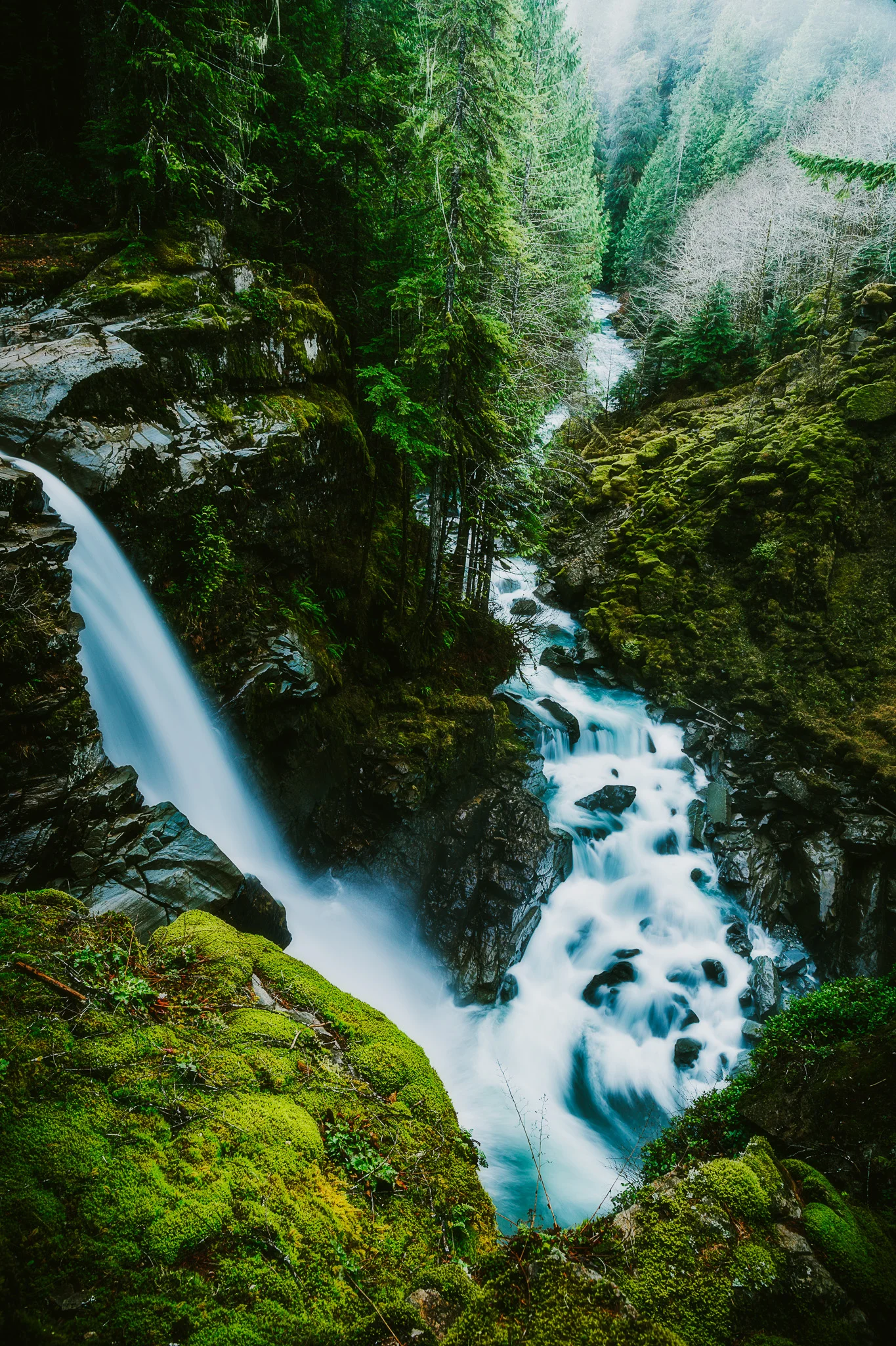 NOOKSACK FALLS