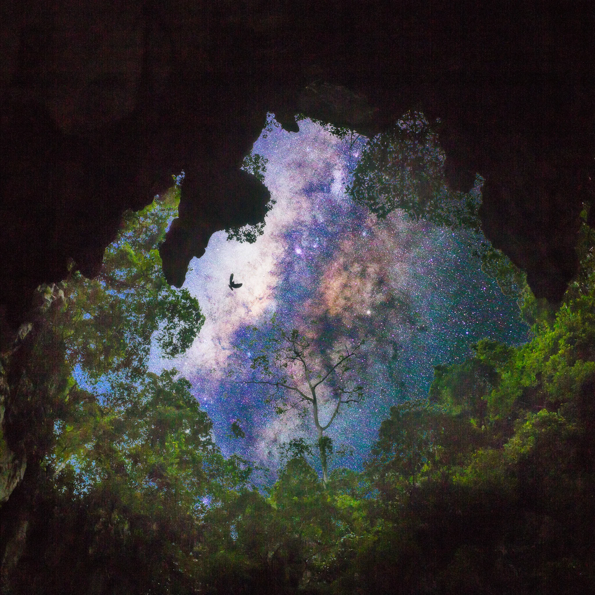 BATU CAVES