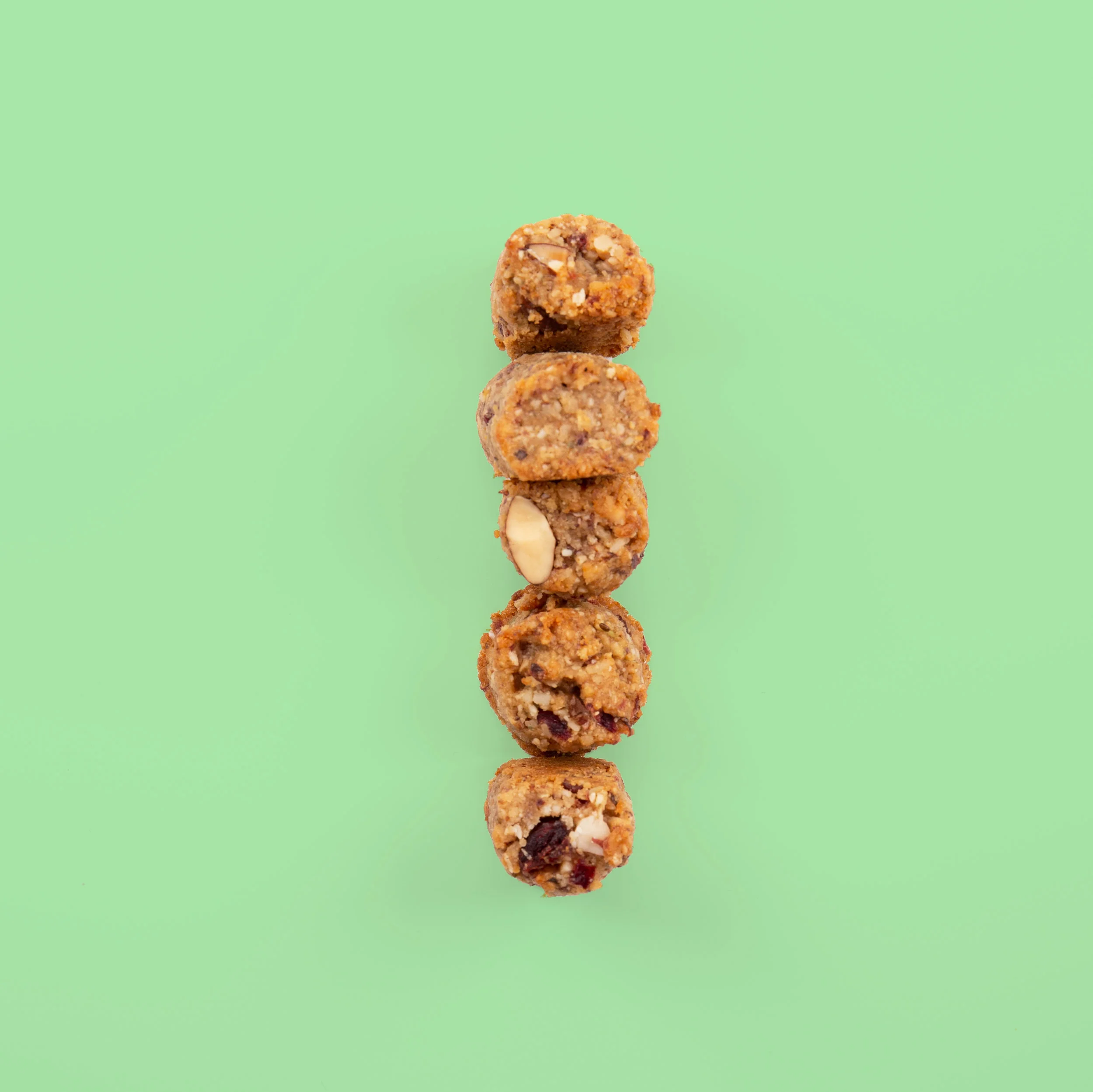 Paleo02.jpg