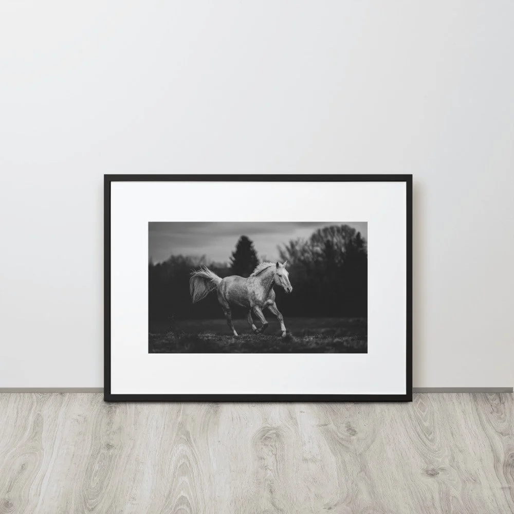 matte-paper-framed-poster-with-mat-(cm)-black-50x70-cm-front-621f868a13f5e.jpg