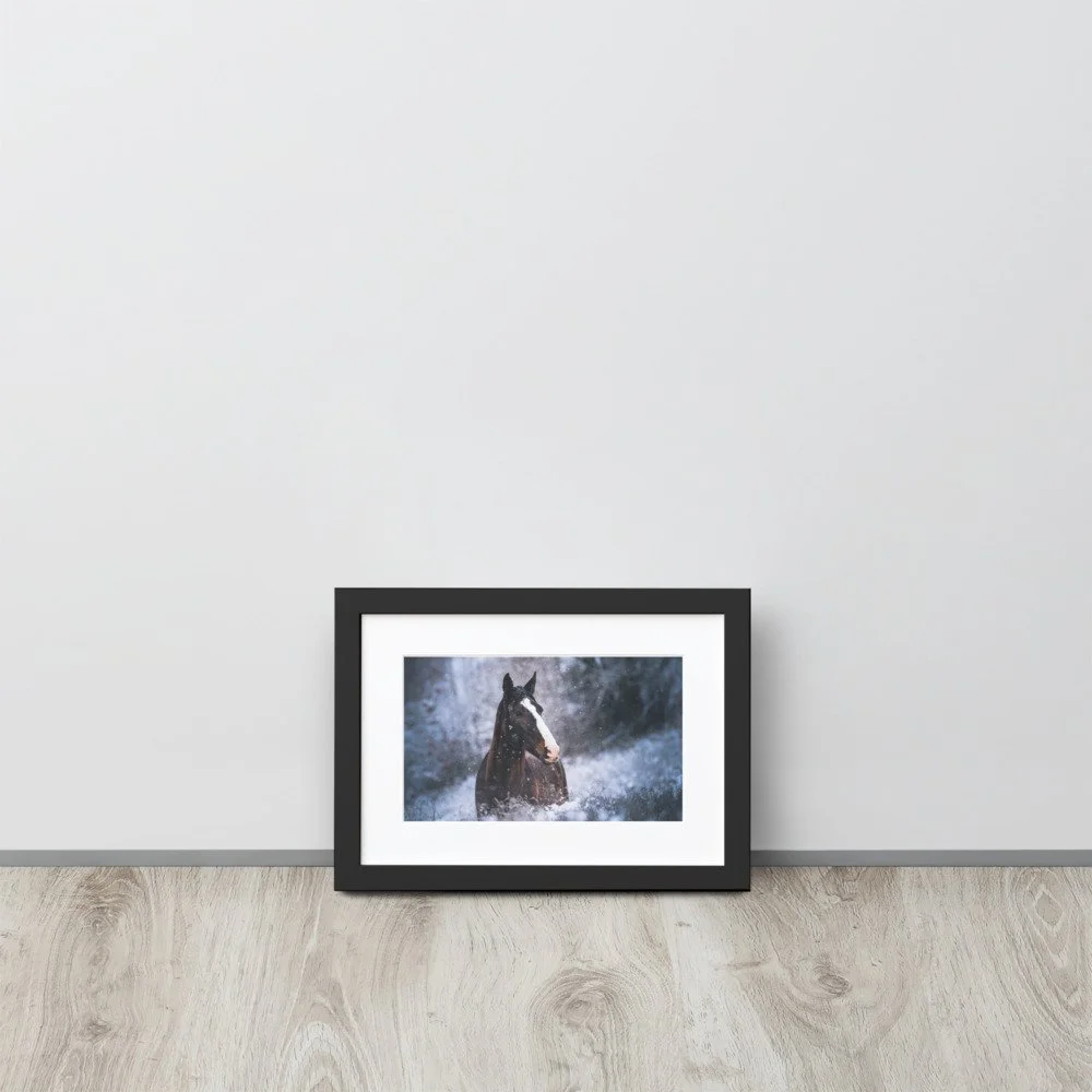 matte-paper-framed-poster-with-mat-(cm)-black-21x30-cm-front-621f86d2b0661.jpg