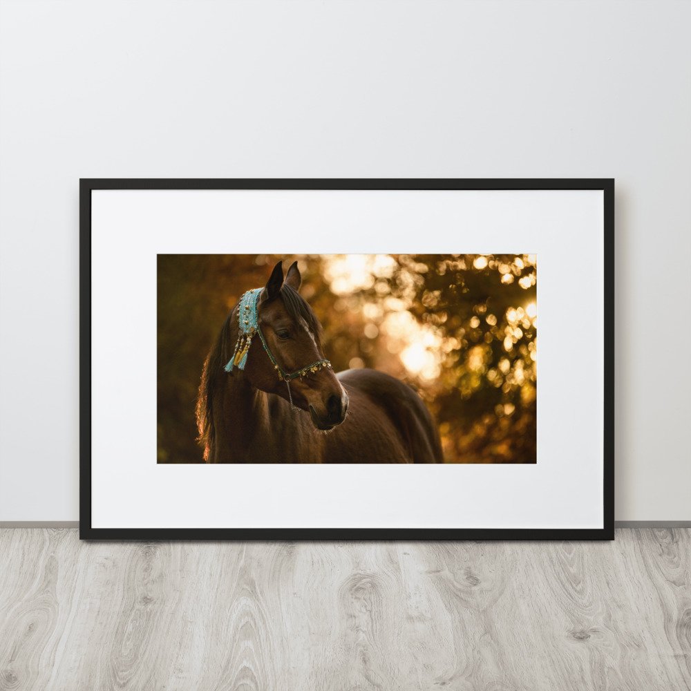 matte-paper-framed-poster-with-mat-(cm)-black-61x91-cm-front-621f870013f20.jpg