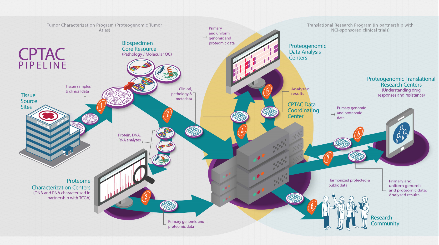 Image source: https://proteomics.cancer.gov/programs/cptac