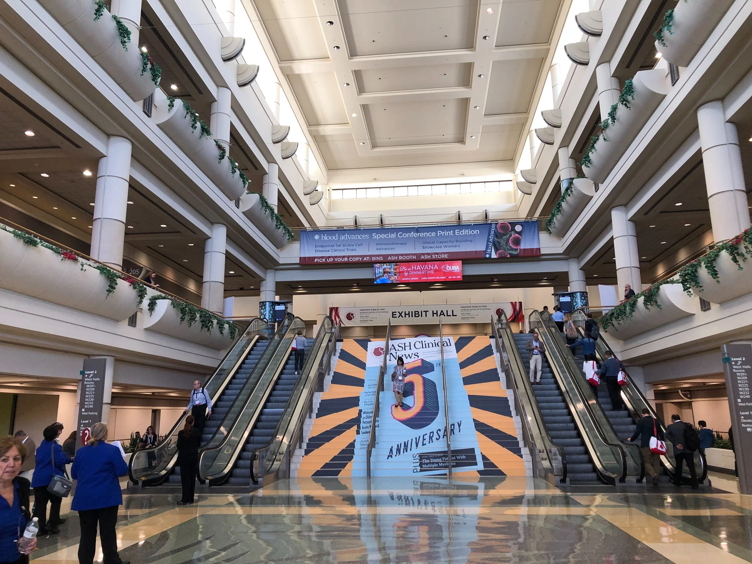 Image from iOS (12).jpg