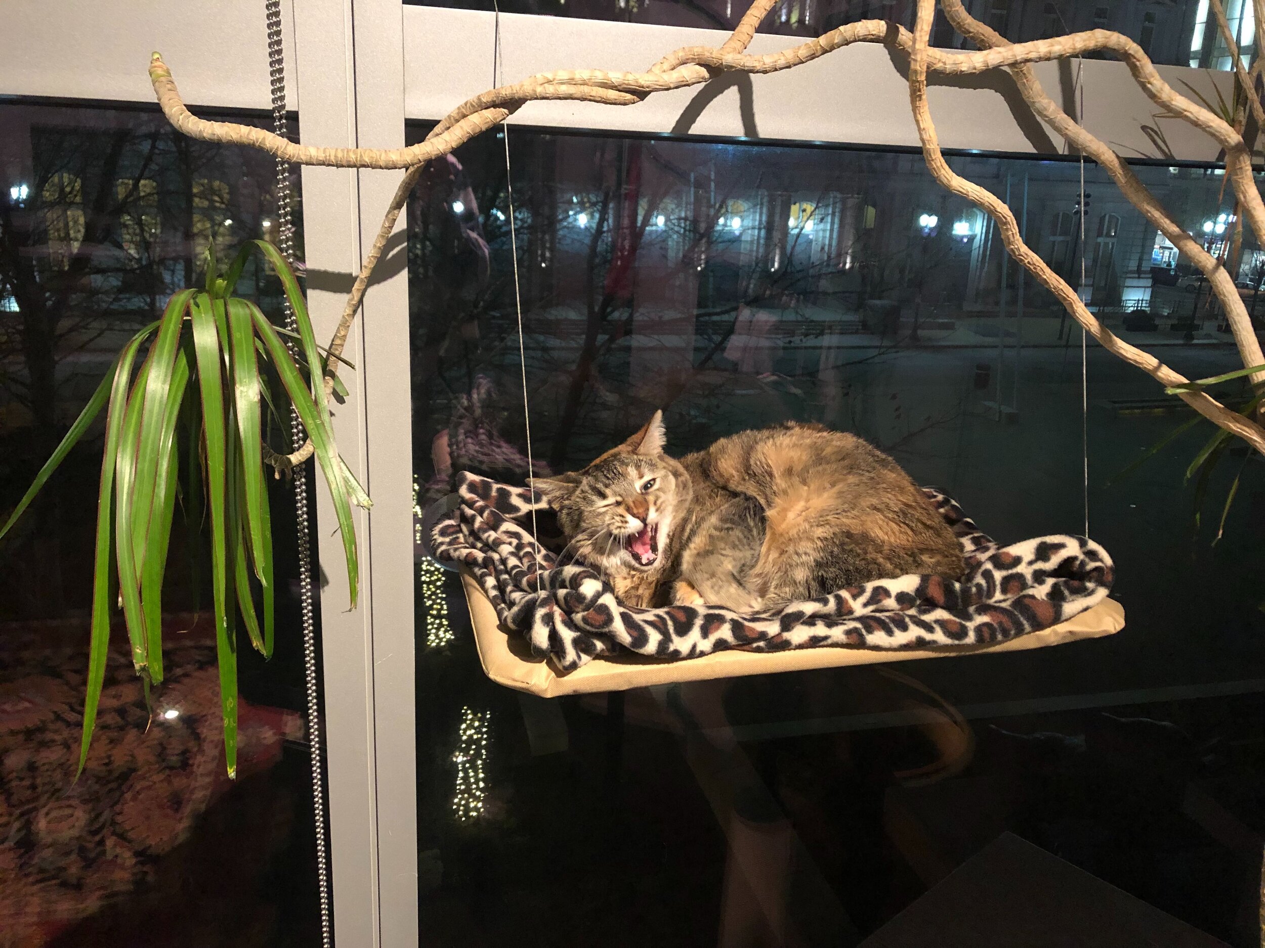 Image from iOS (15).jpg