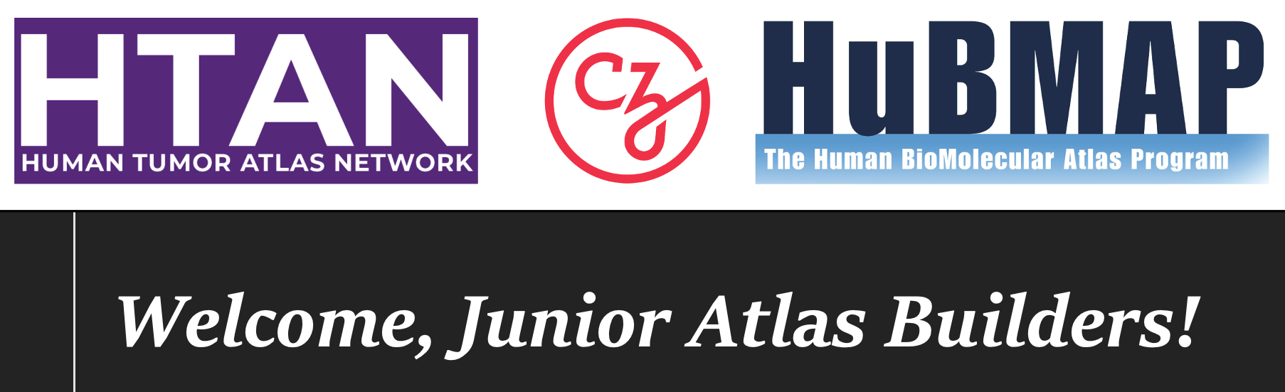 Screen Shot 2021-09-22 at 11.45.29 AM.png