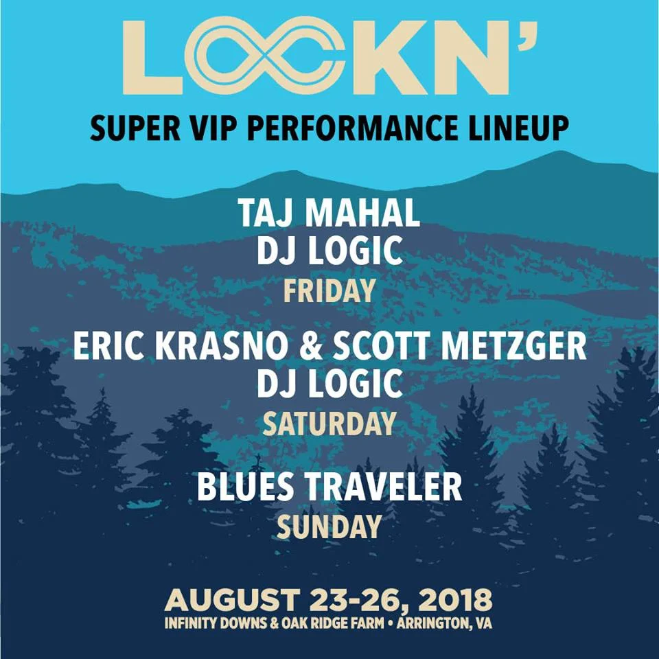 DJ Logic Lockn VIP 2018.jpg