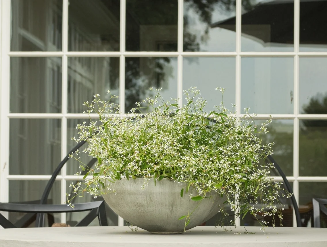 June 11, 2016_11_02_24.jpg