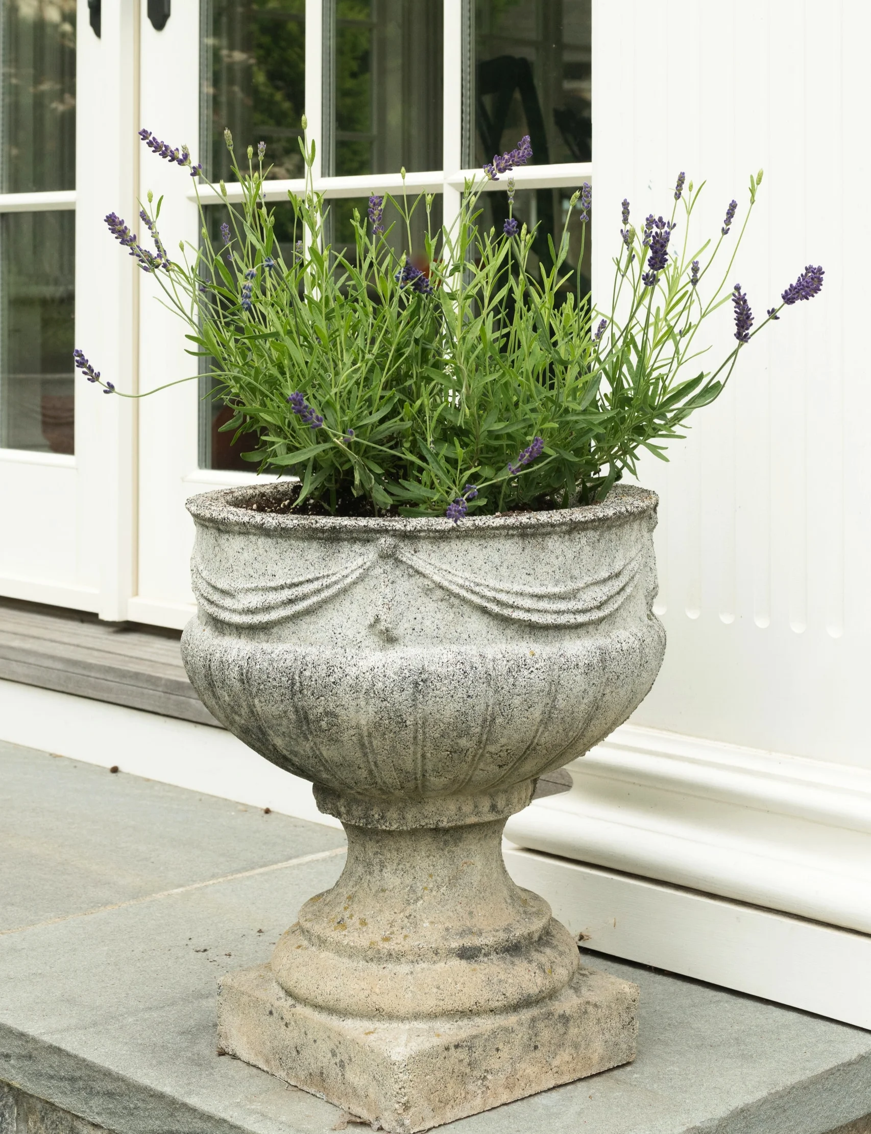 June 11, 2016_11_10_01.jpg