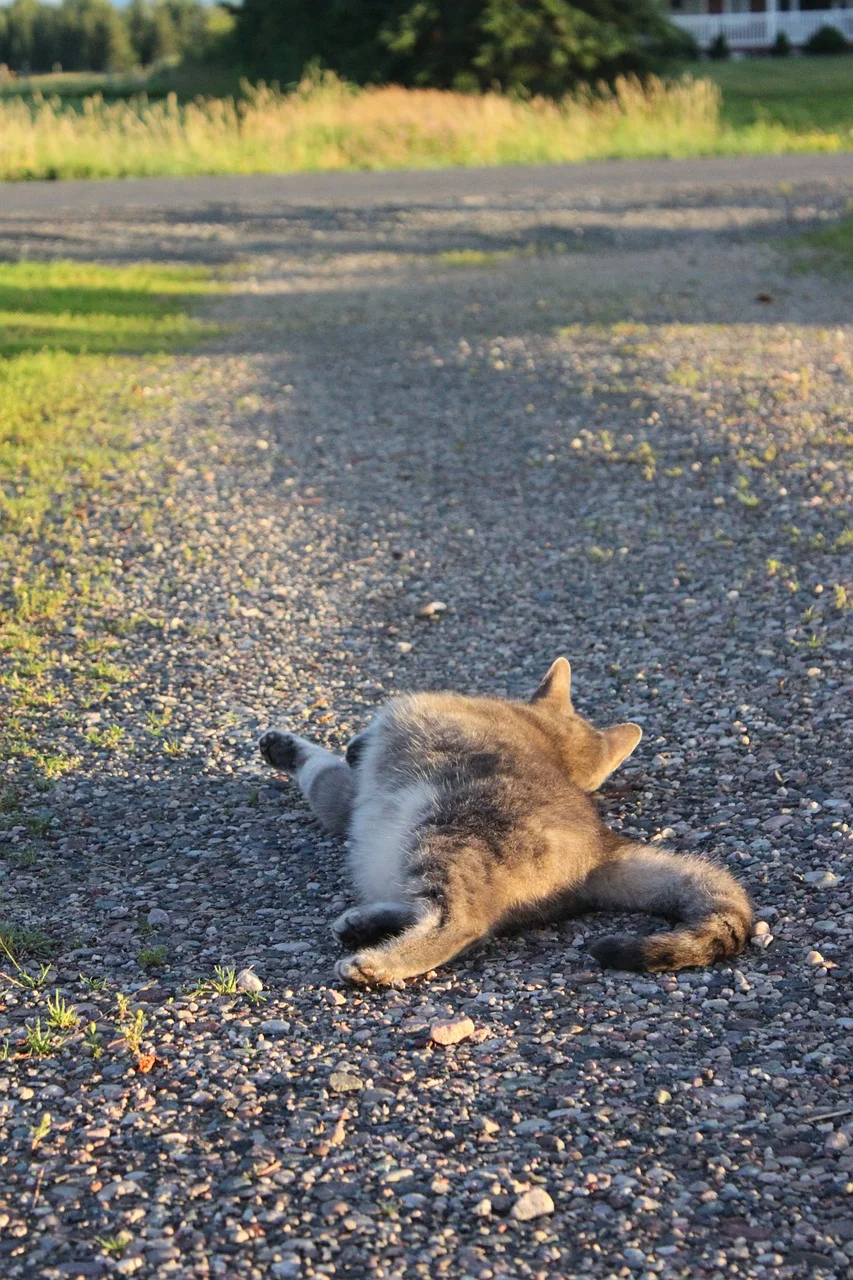 Six Different Types Of Grounding Exercises For Anxiety Intense Emotions The Growlery