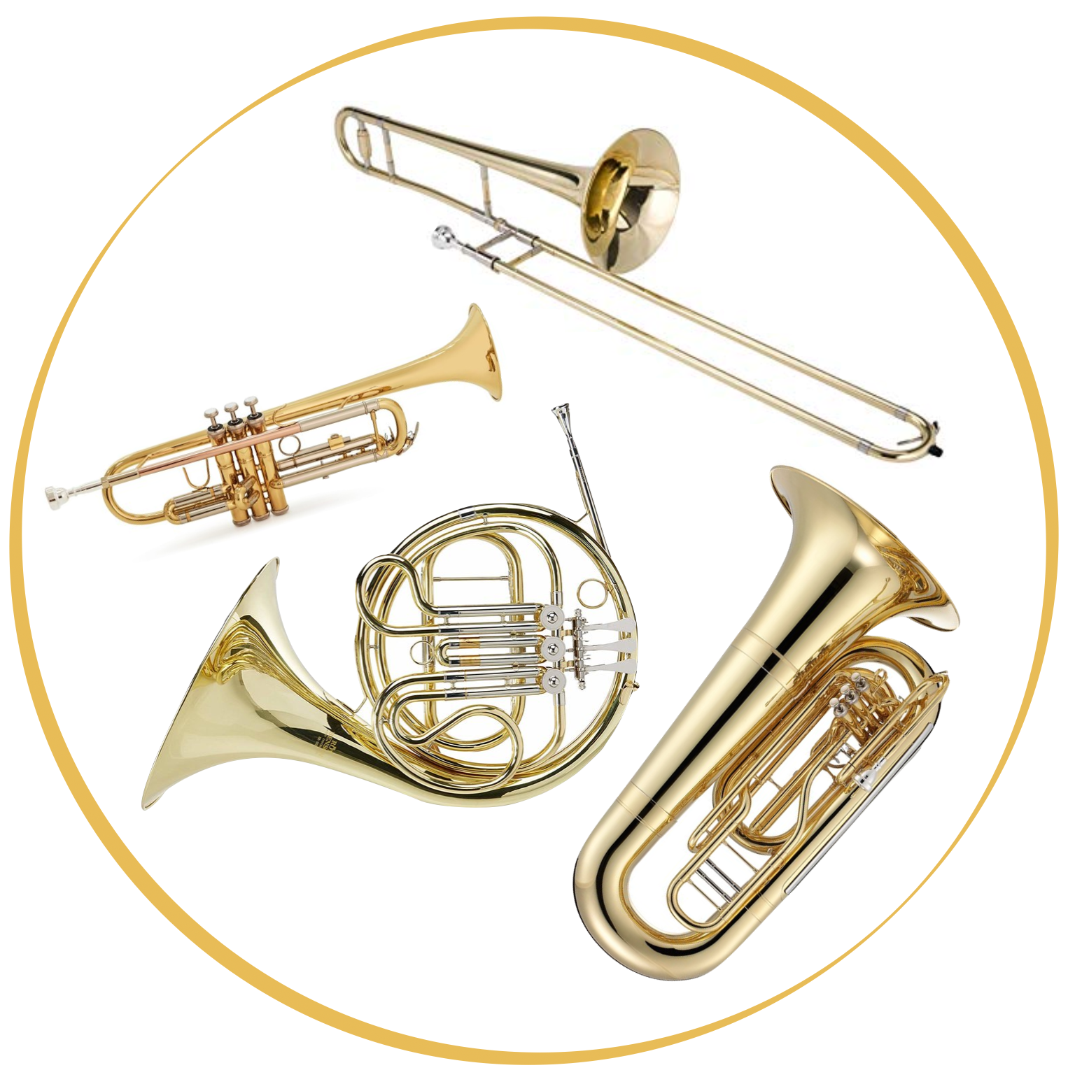 The Brass Family — All Newton Music School, 42% OFF