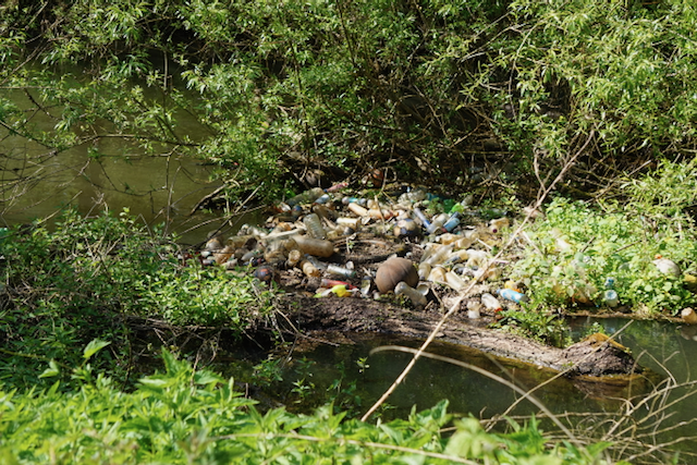 Litter in a local waterway