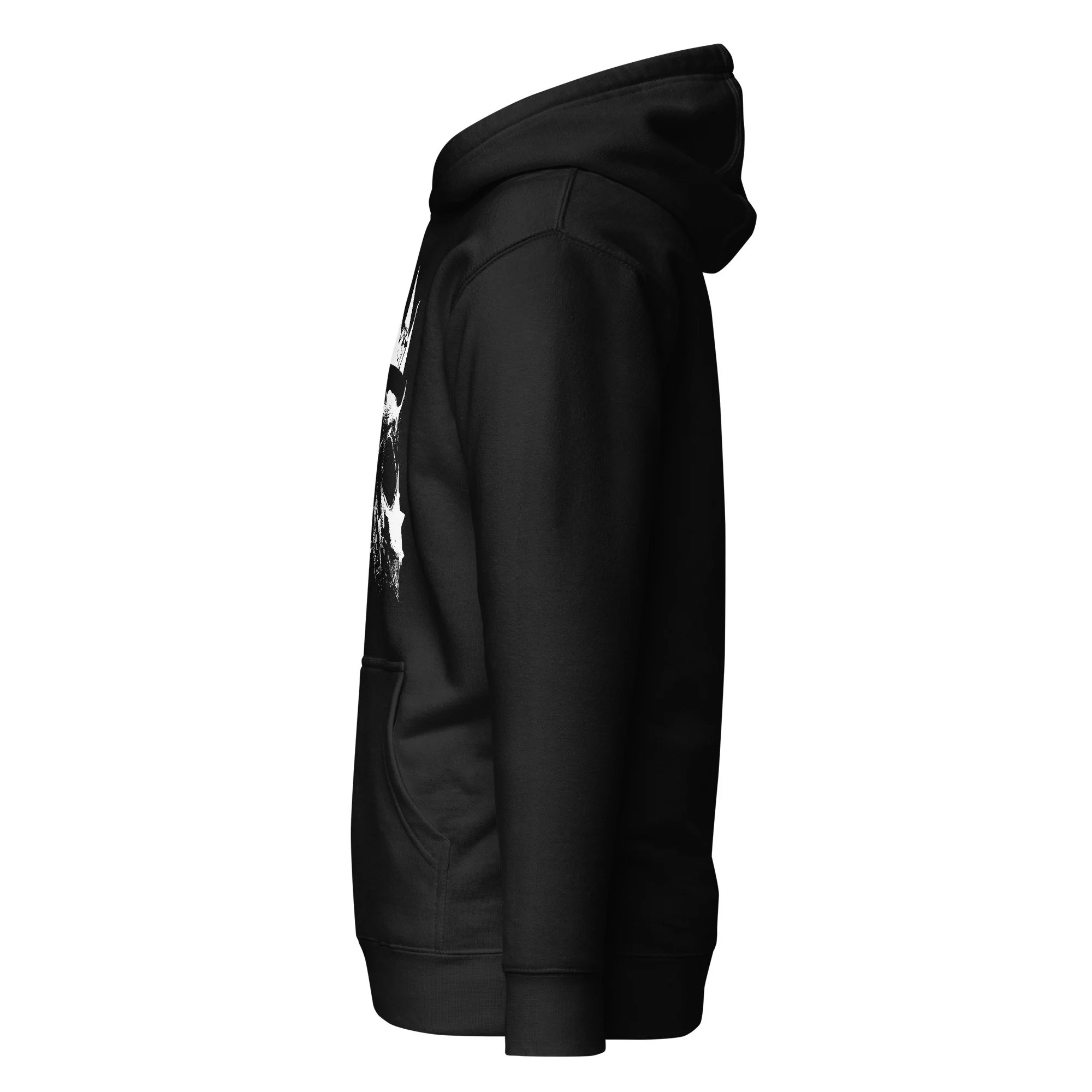 unisex-premium-pullover-hoodie-black-left-6abc29bea93e3.jpg