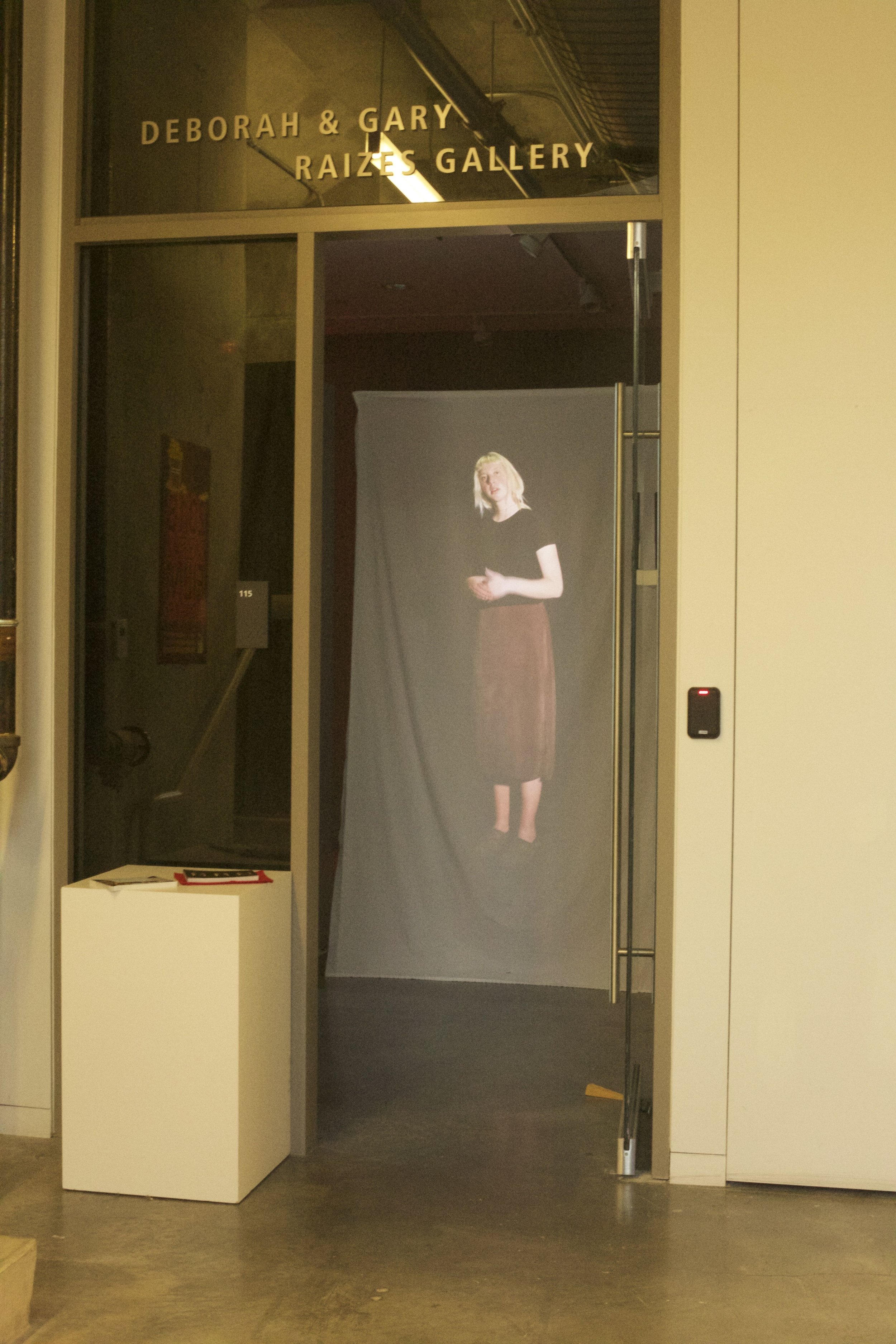  Entrance installation view at Raizes Gallery (Cambridge, MA 2018)  