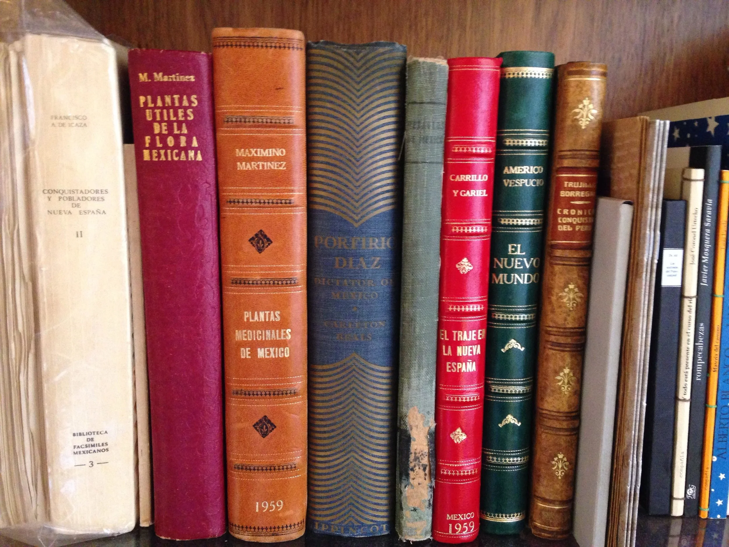 Muchos libroos.jpg