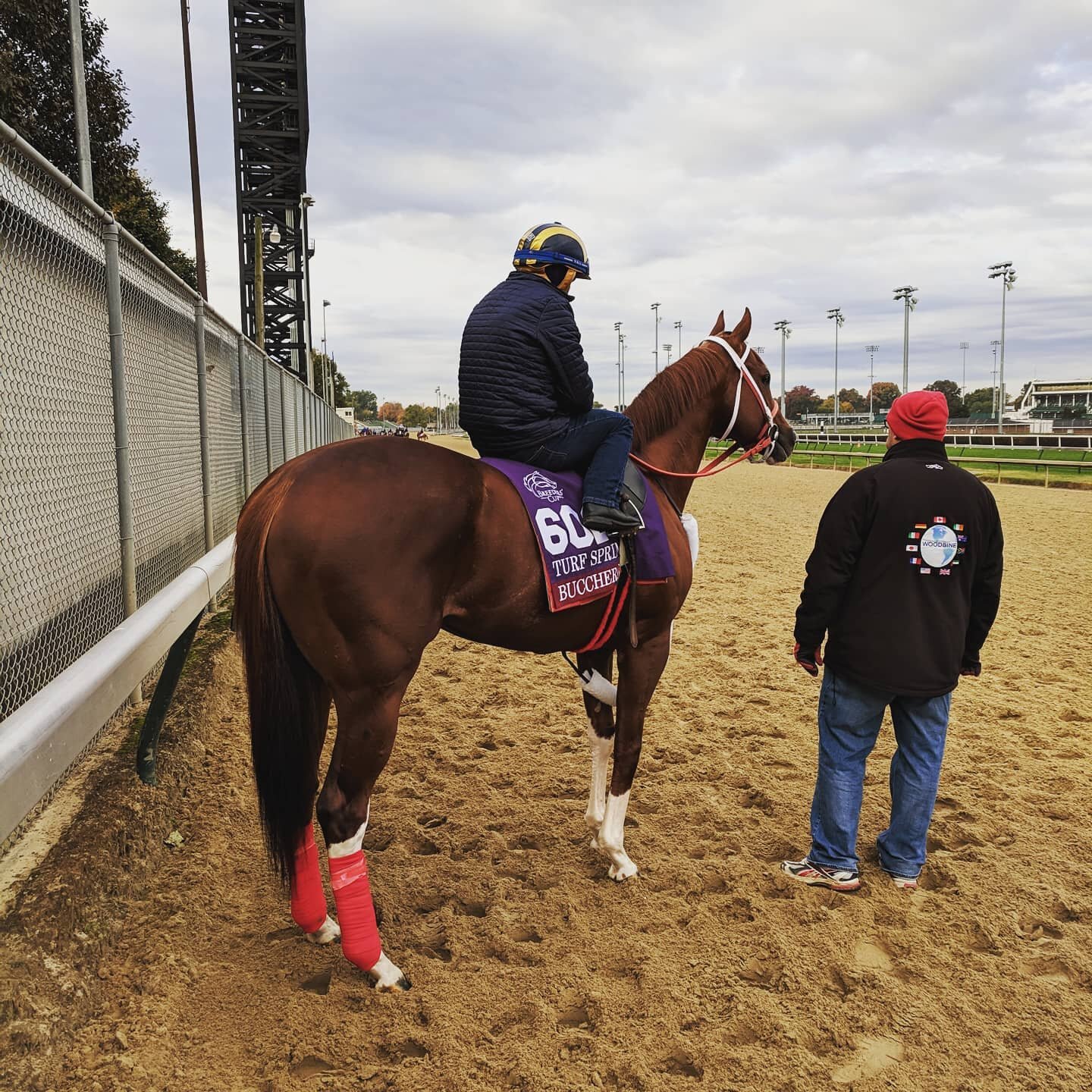 Dreaming of running in the @kentuckyderby or the Oaks? We have been to the @breederscup and Royal @ascotracecourse , join us as we try to get to our first Derby weekend with one of our new 2yo's. A few shares still available. Link in profile ⏫⏫⏫