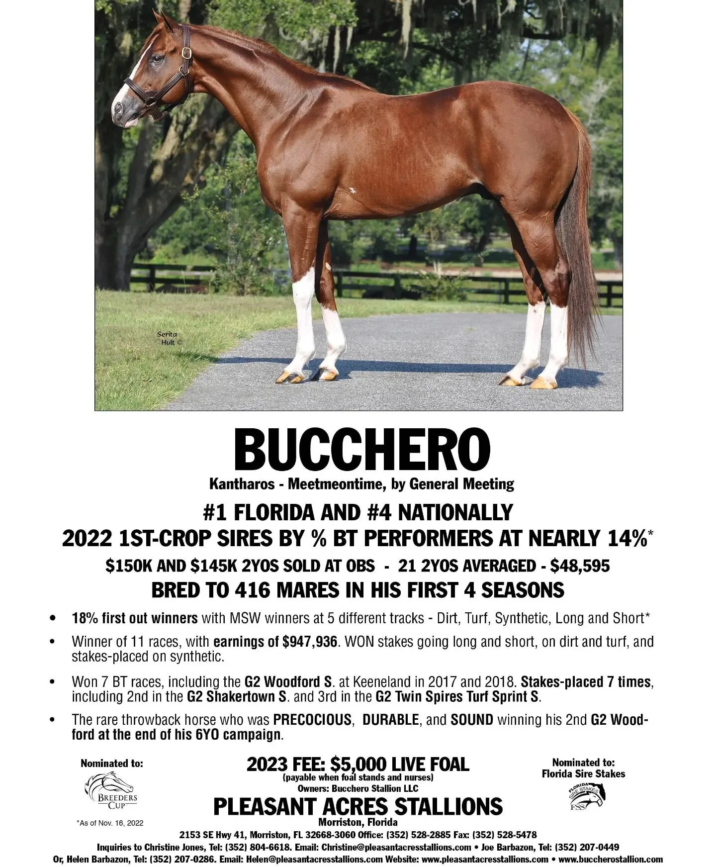 Ironhorse Racing Stable