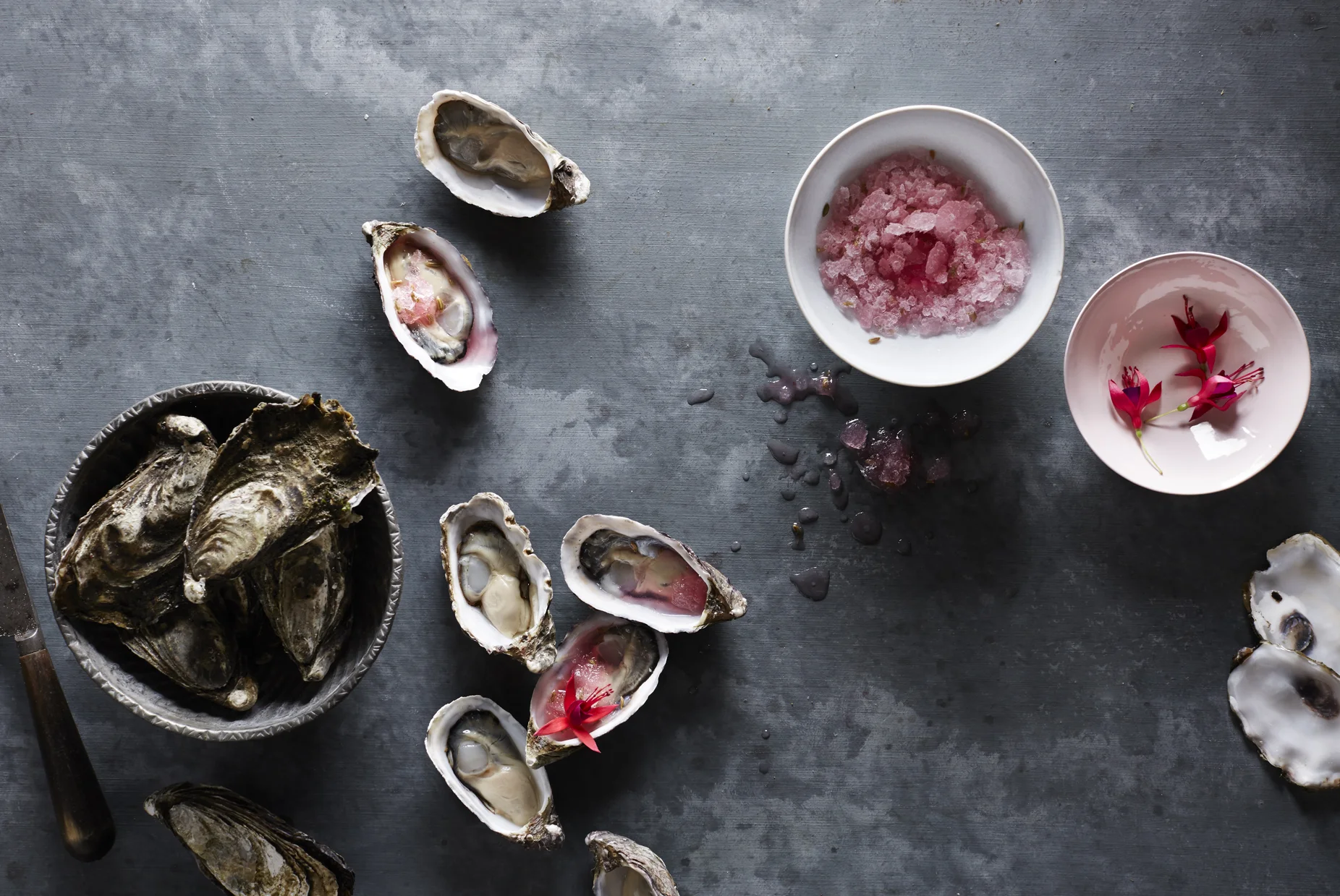 Photography Alicia Taylor