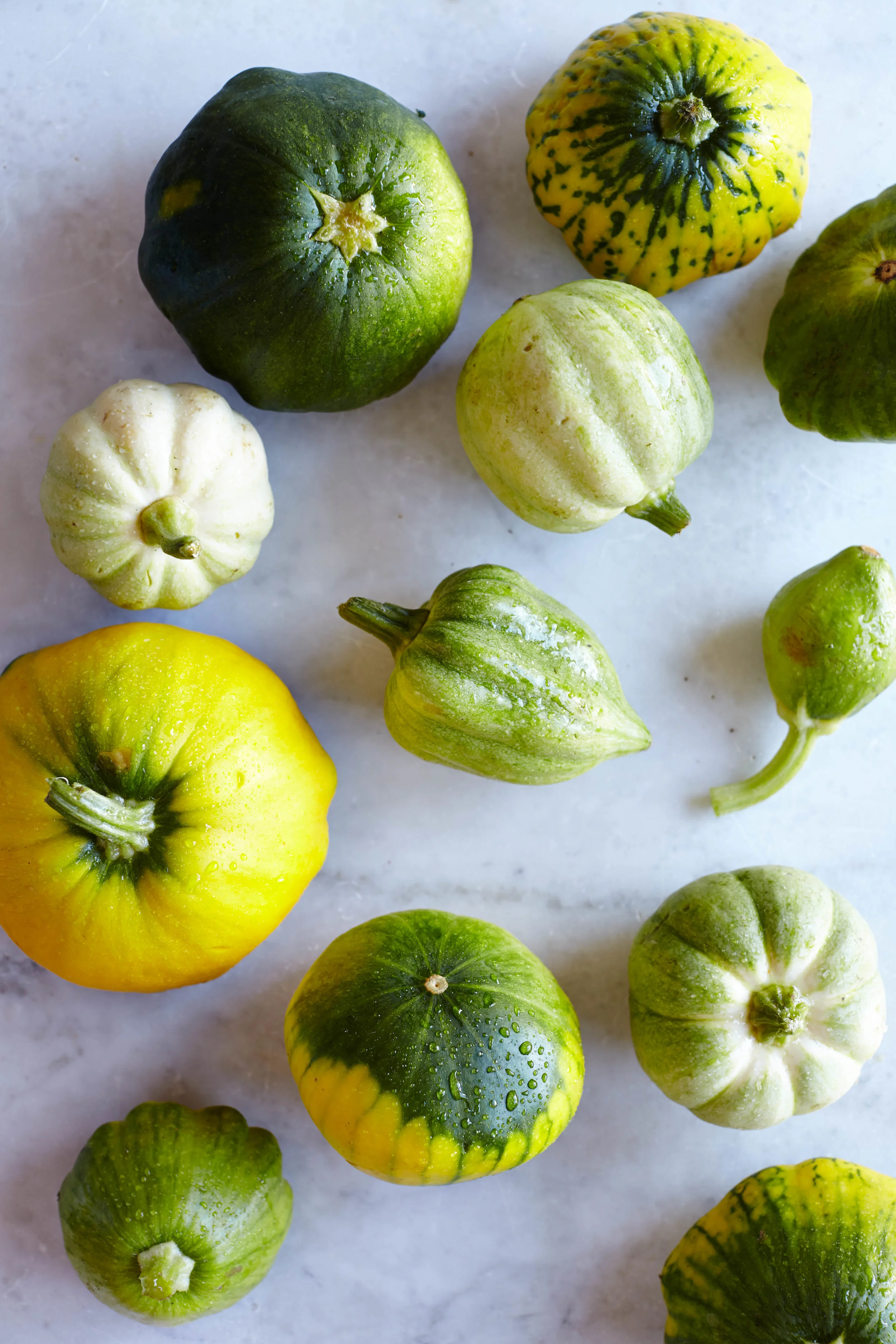 Meze_Dolmas_Opener_03_206368.jpg