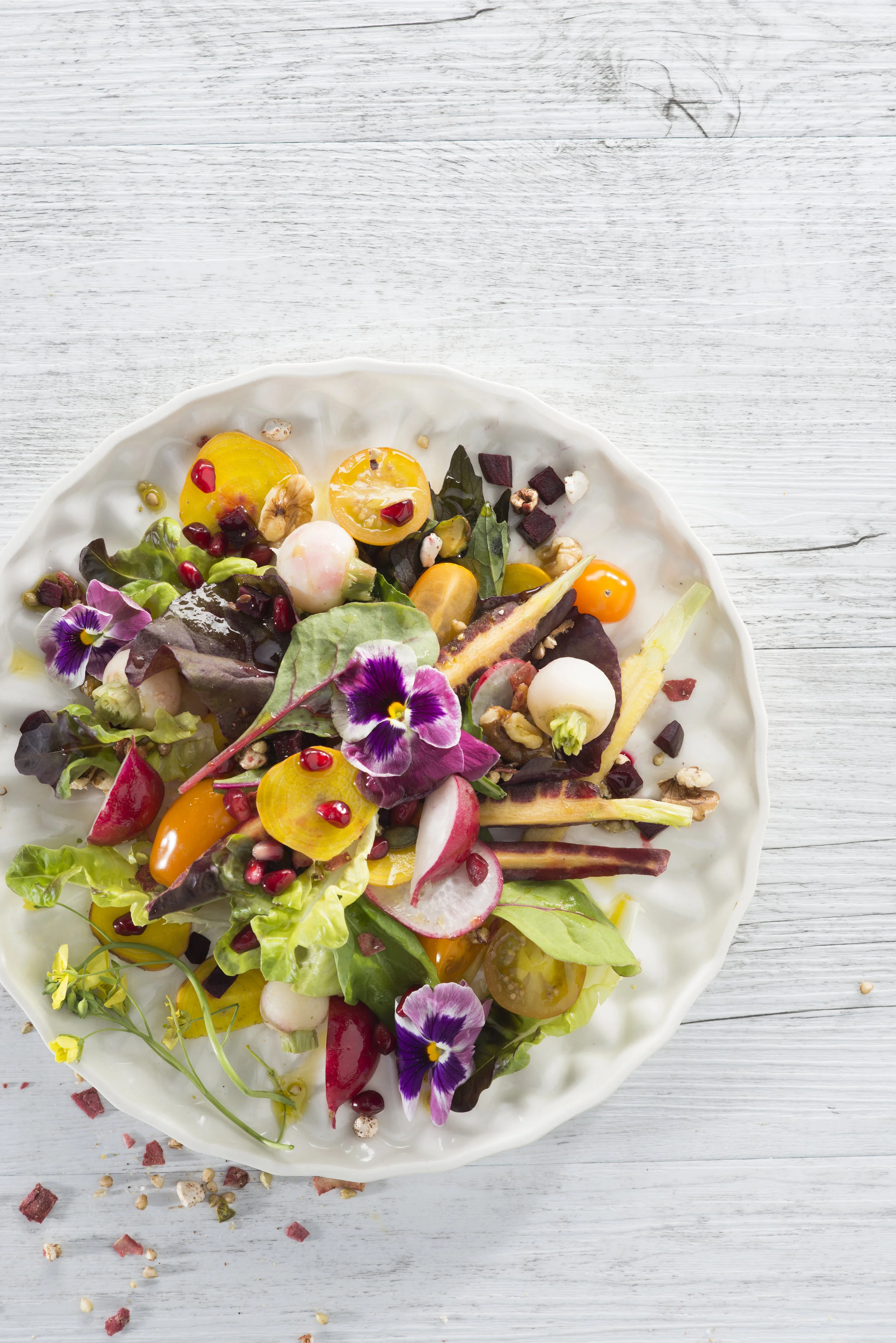 Photgrapher Mindi Cooke