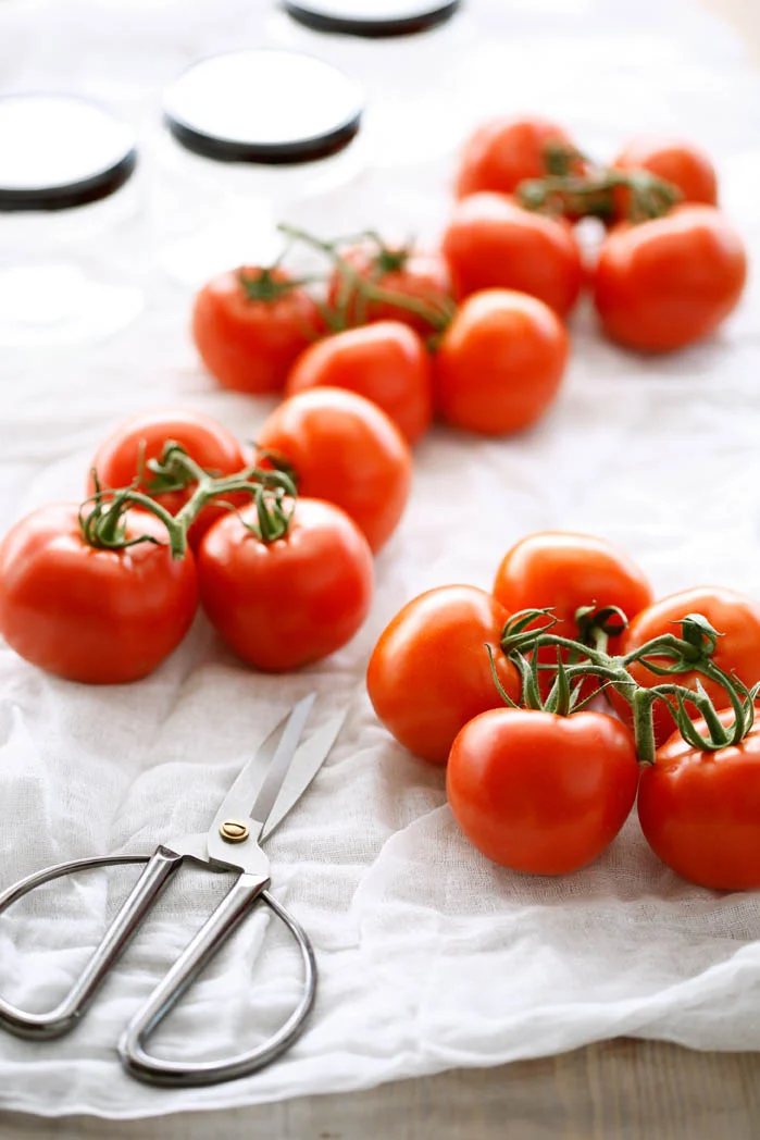 Photography Michele Aboud