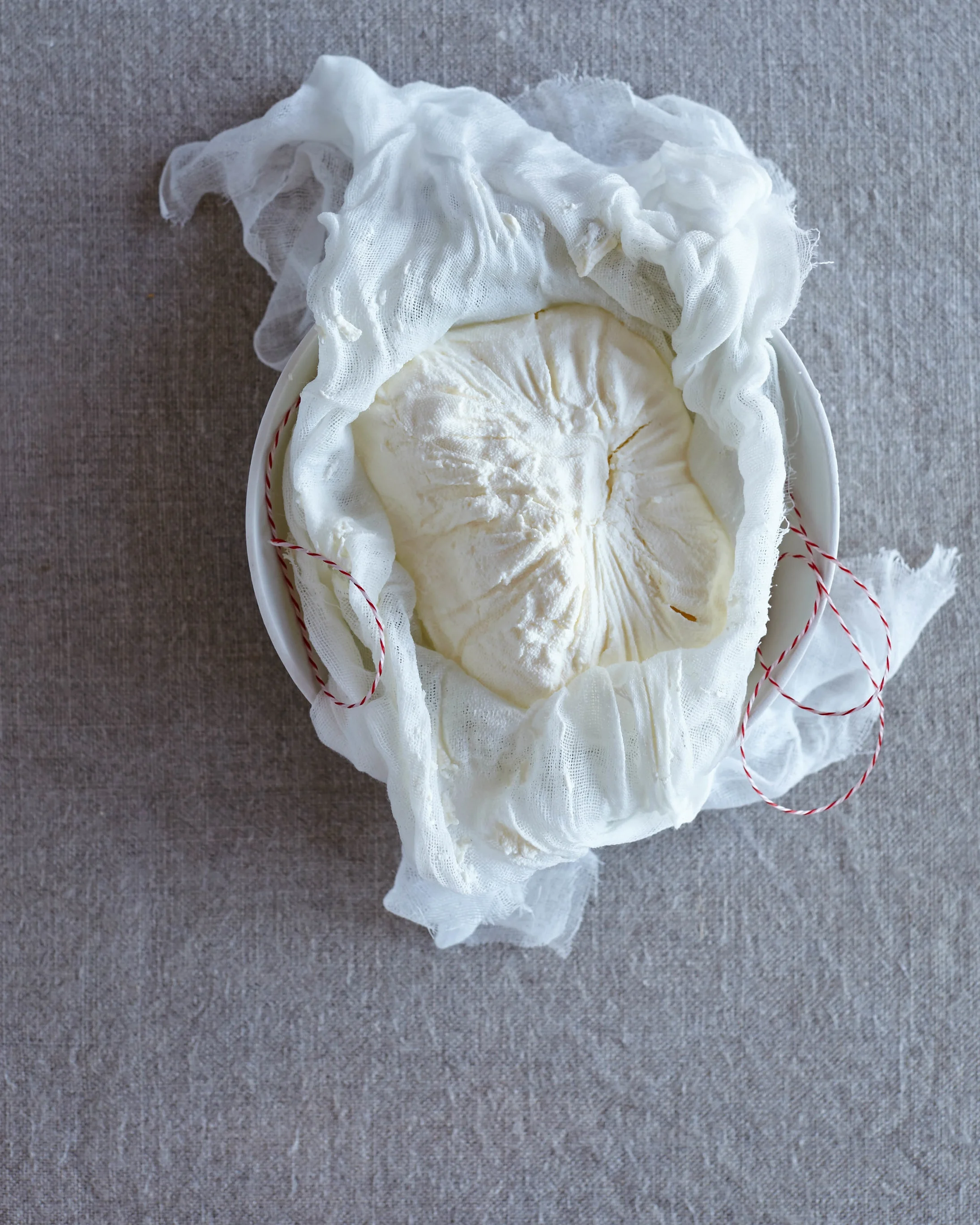 Photography Alicia Taylor