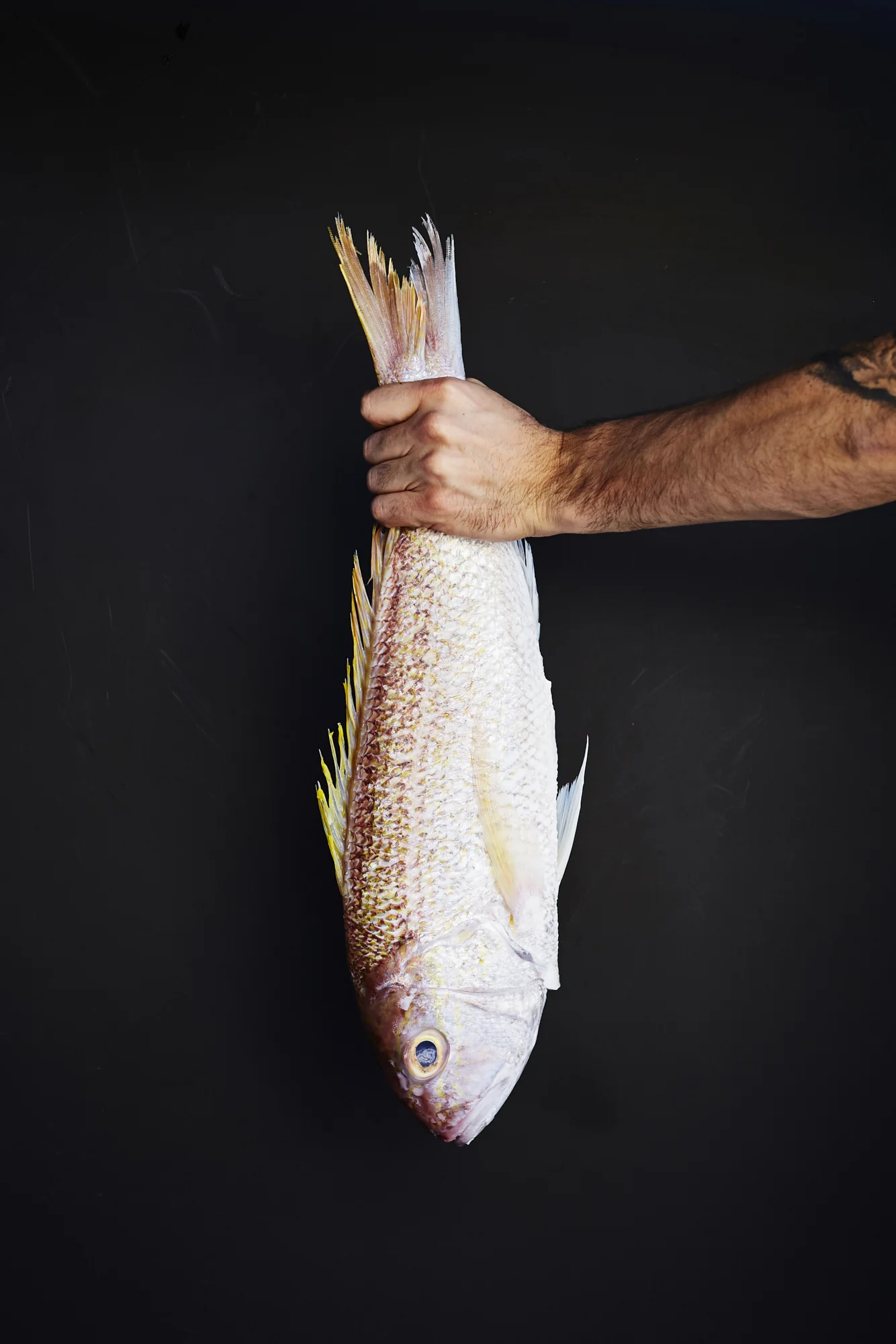 170906_ShelterLennox0989 3.jpg