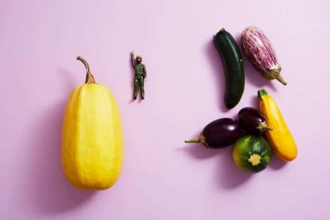 Photography Jessie Prince