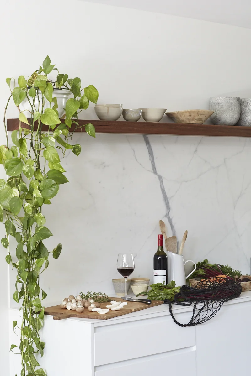 Photography Jessie Prince