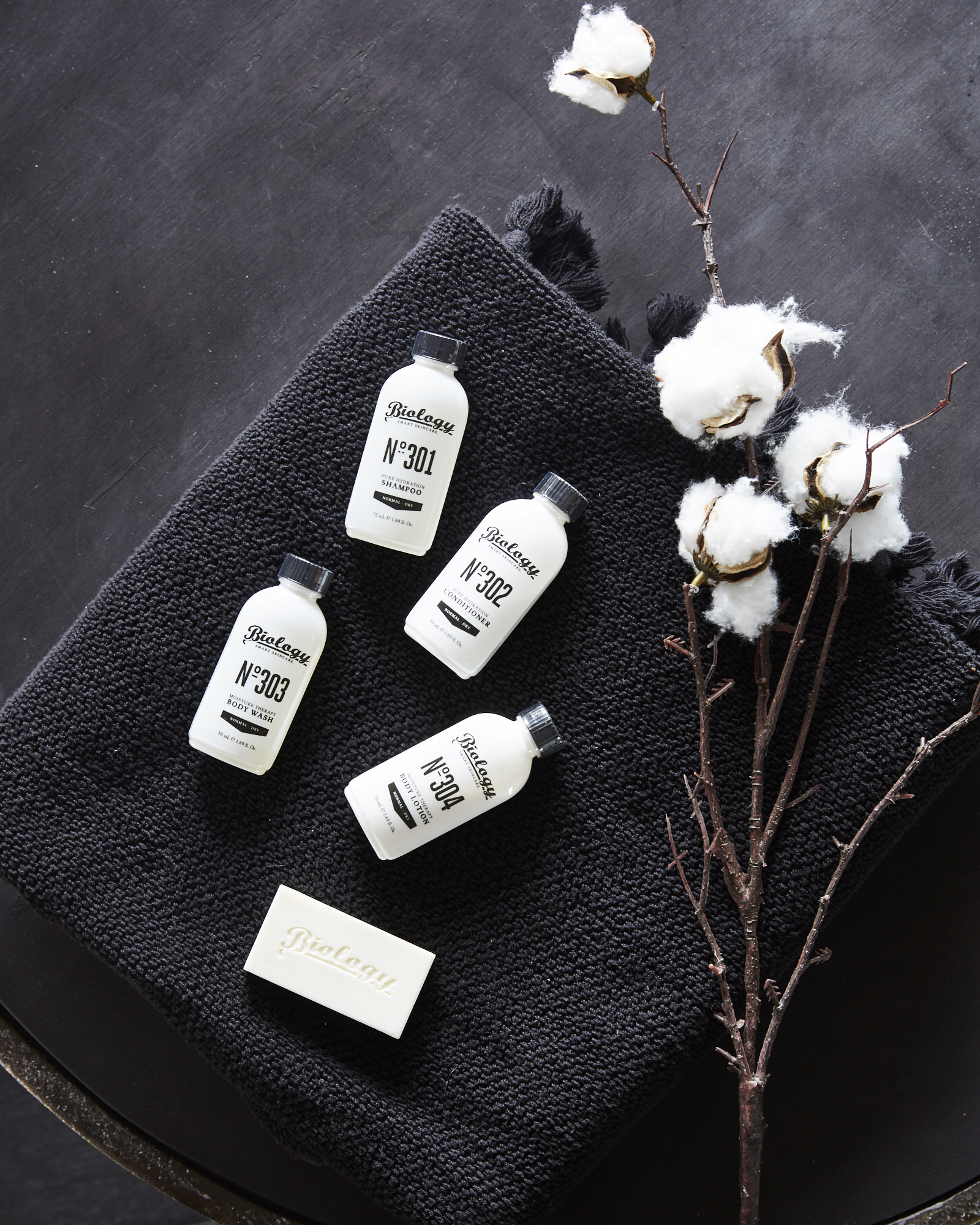 28 DEGREES WITH JESSIE PRINCE