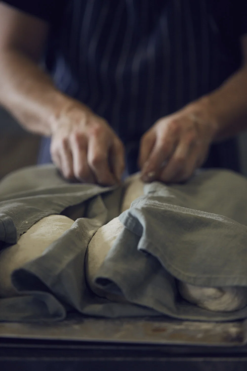 Photography Michele Aboud