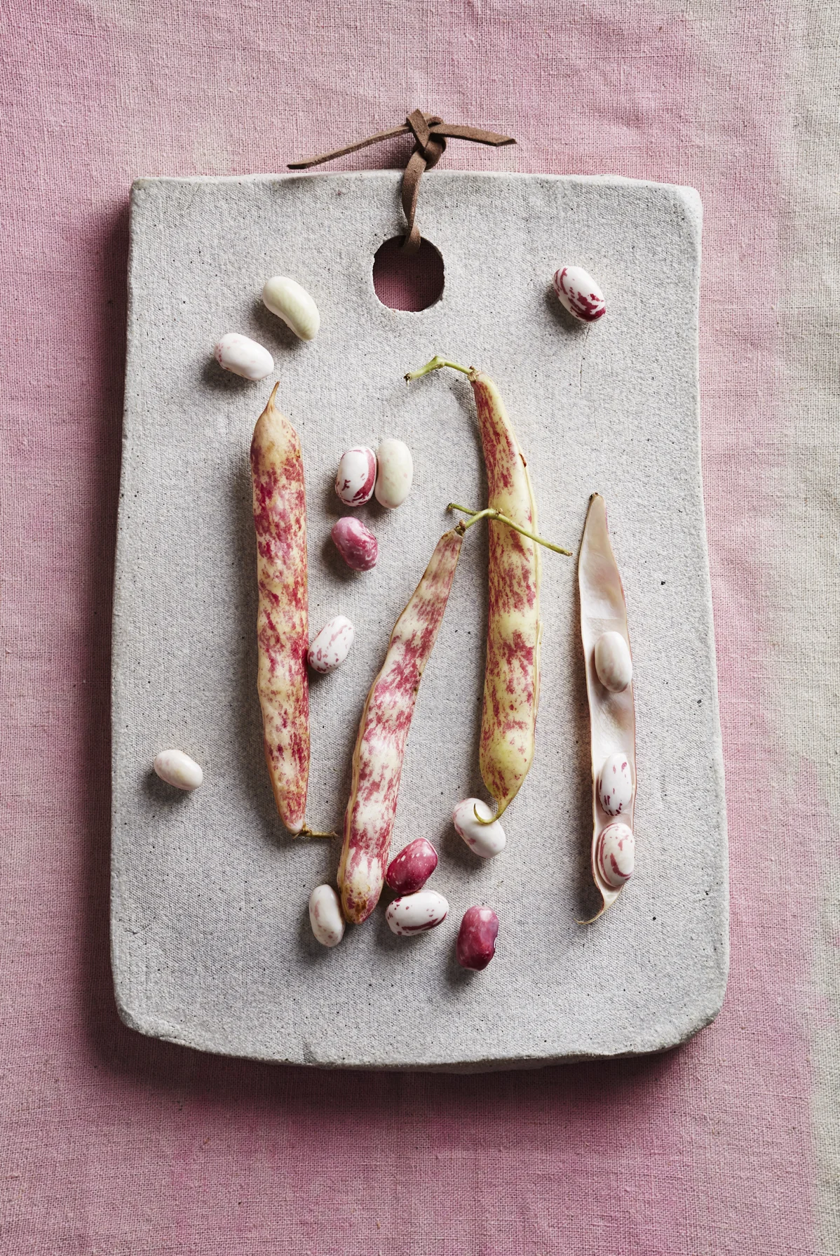 Photography Alicia Taylor