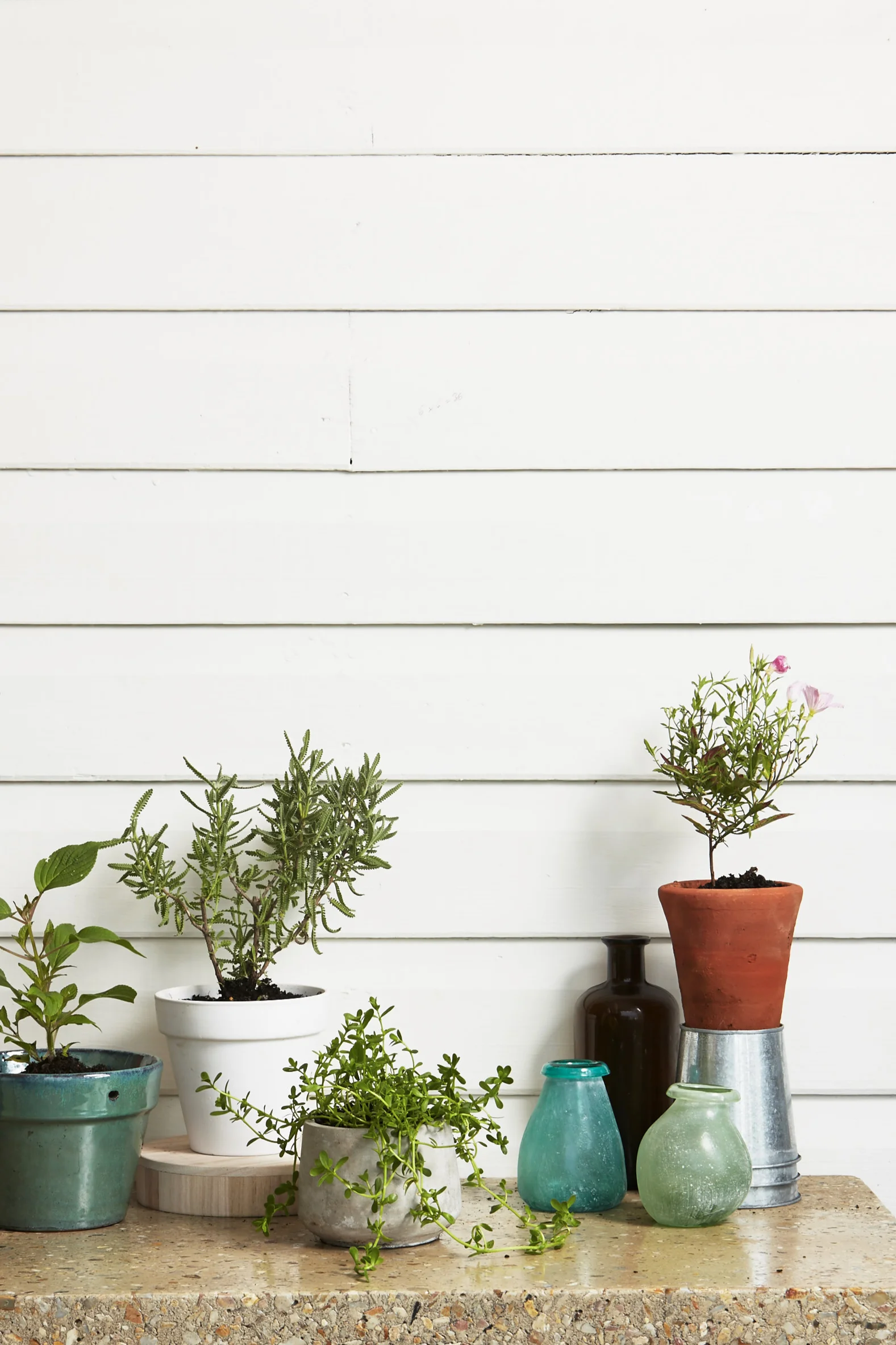 Photography Stuart Scott