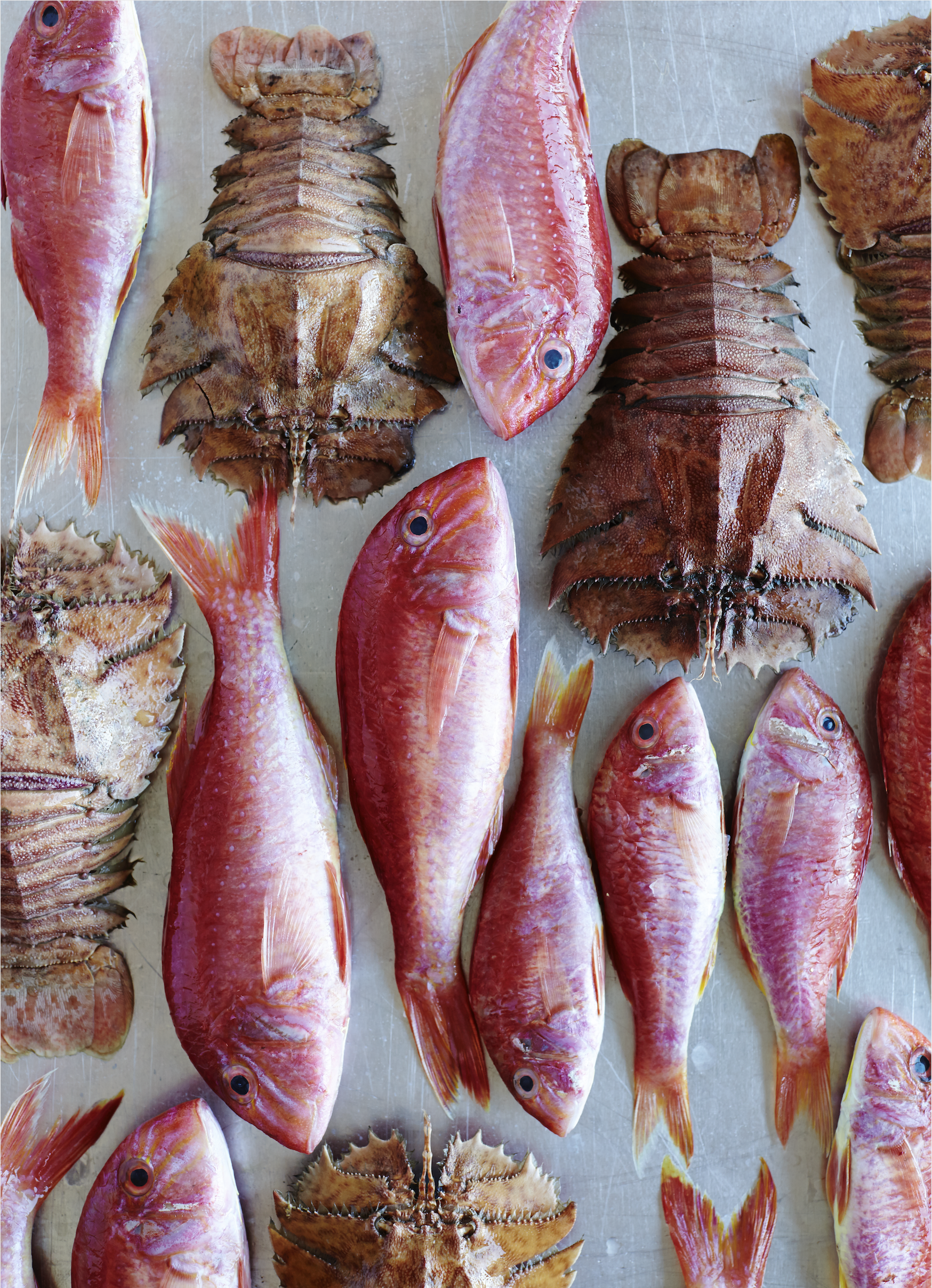 Screen Shot 2021-02-06 at 1.04.39 pm.png