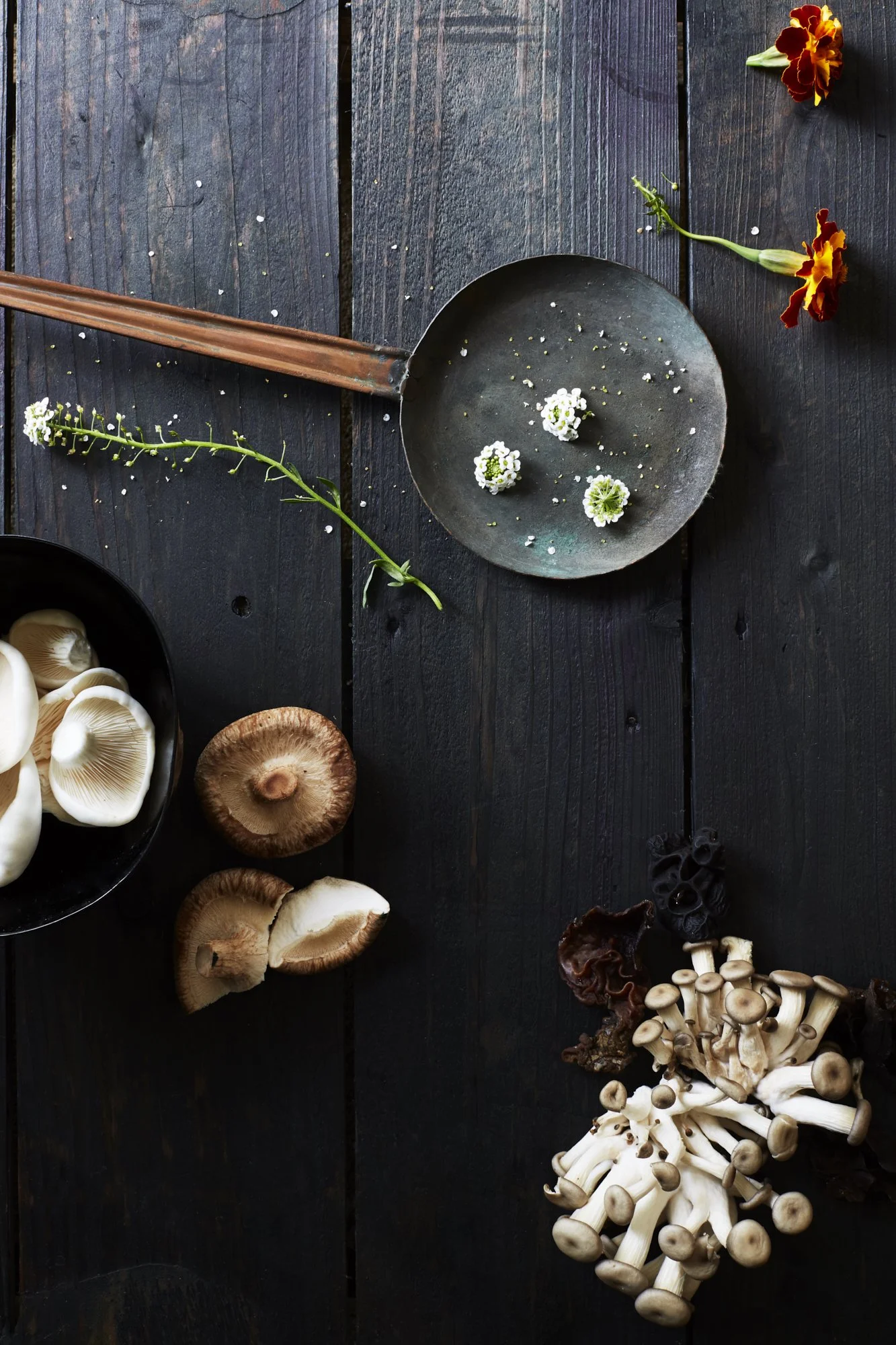 160623_Mystical_2194 1_option.jpg