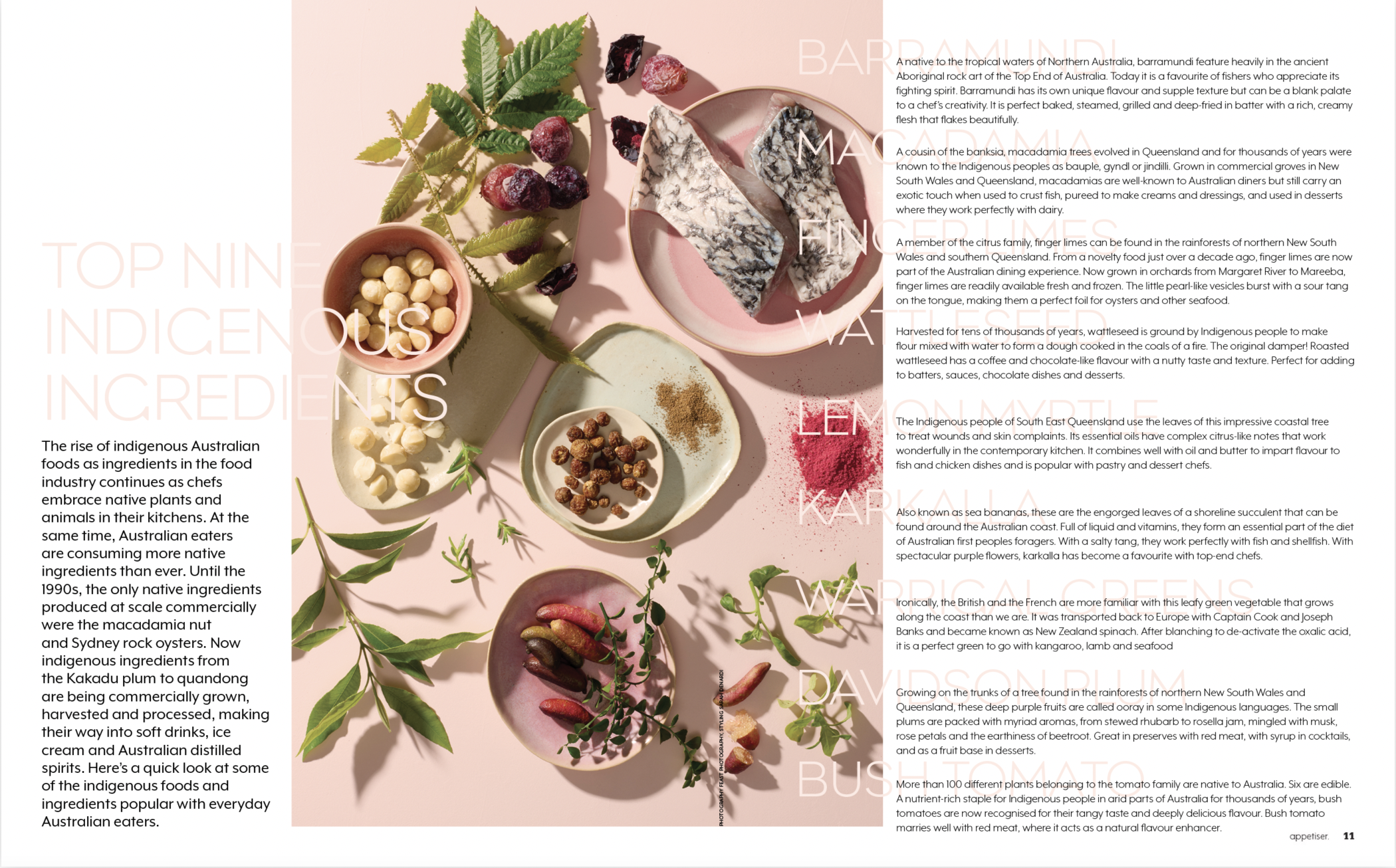 Screen Shot 2022-06-07 at 8.06.58 am.png