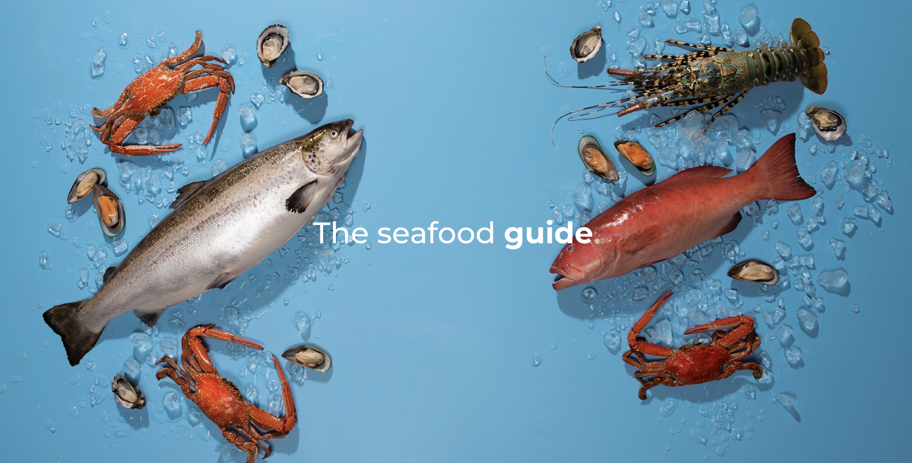 Screen Shot 2022-06-07 at 11.41.52 am.png