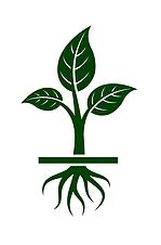 Fiscal Sponsorship 101