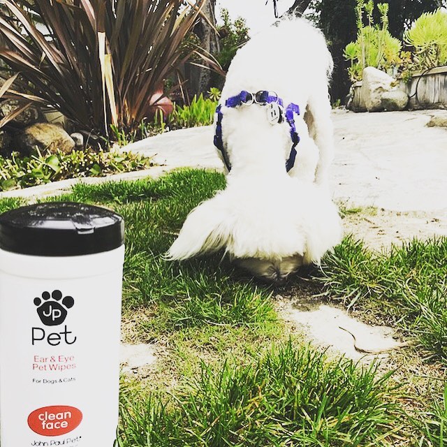 Thank you so much John Paul Pet for helping stay clean after a long day of helping dogs! #HealthyHenry #H2R #Henrytotherescue @johnpaulpet