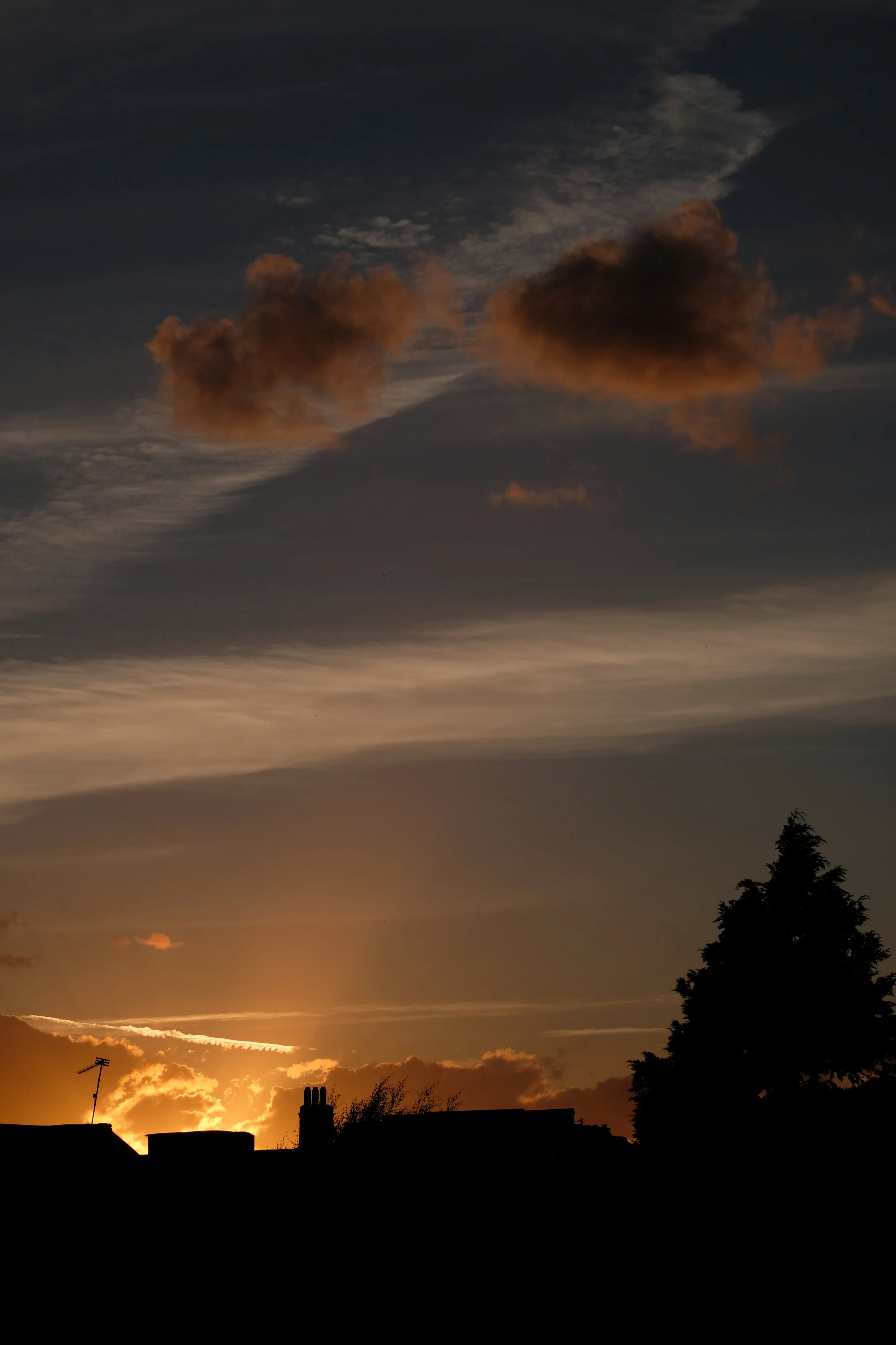 DSCG0087.jpg
