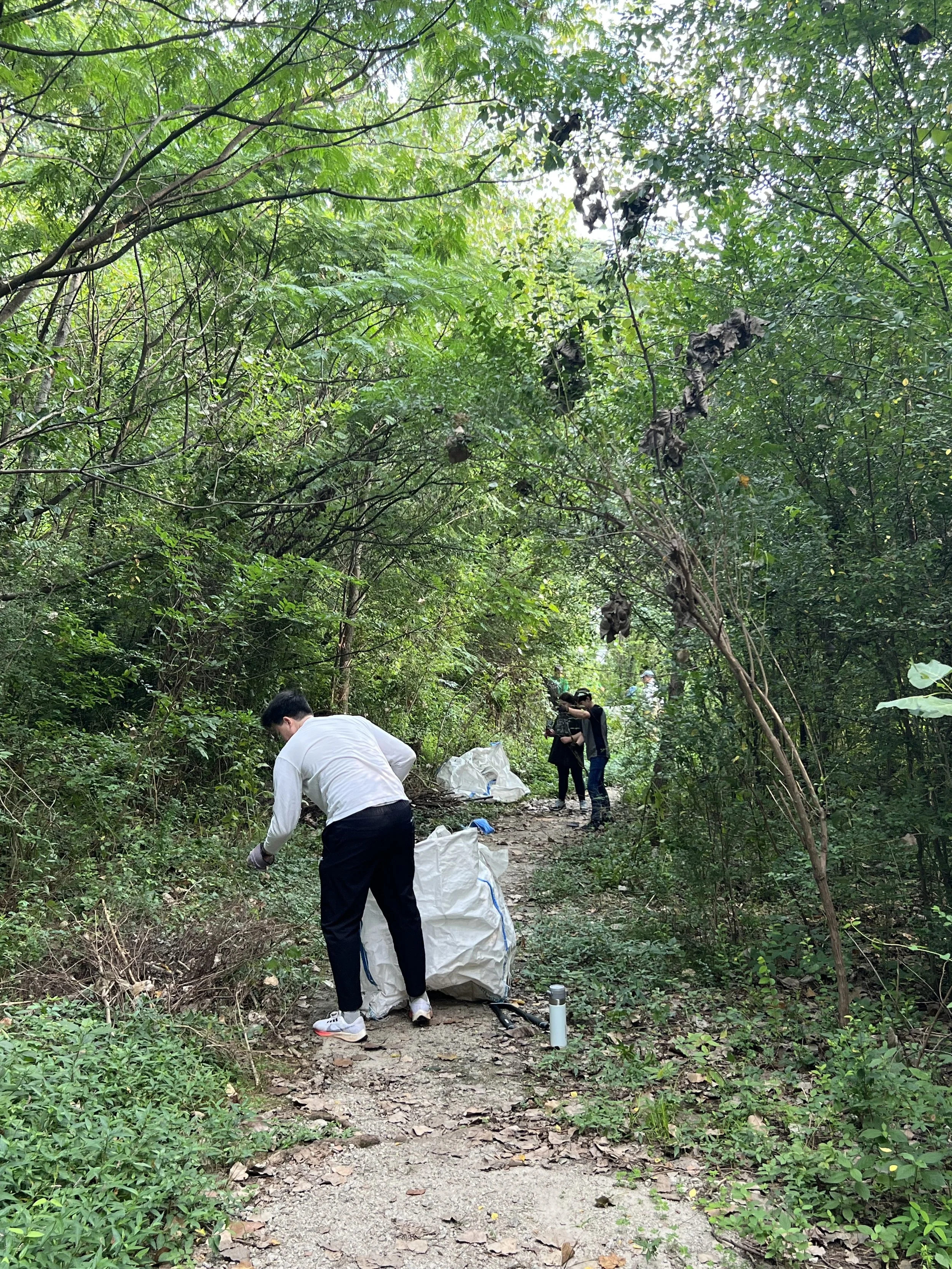 Woodall Creek Forest Restoration