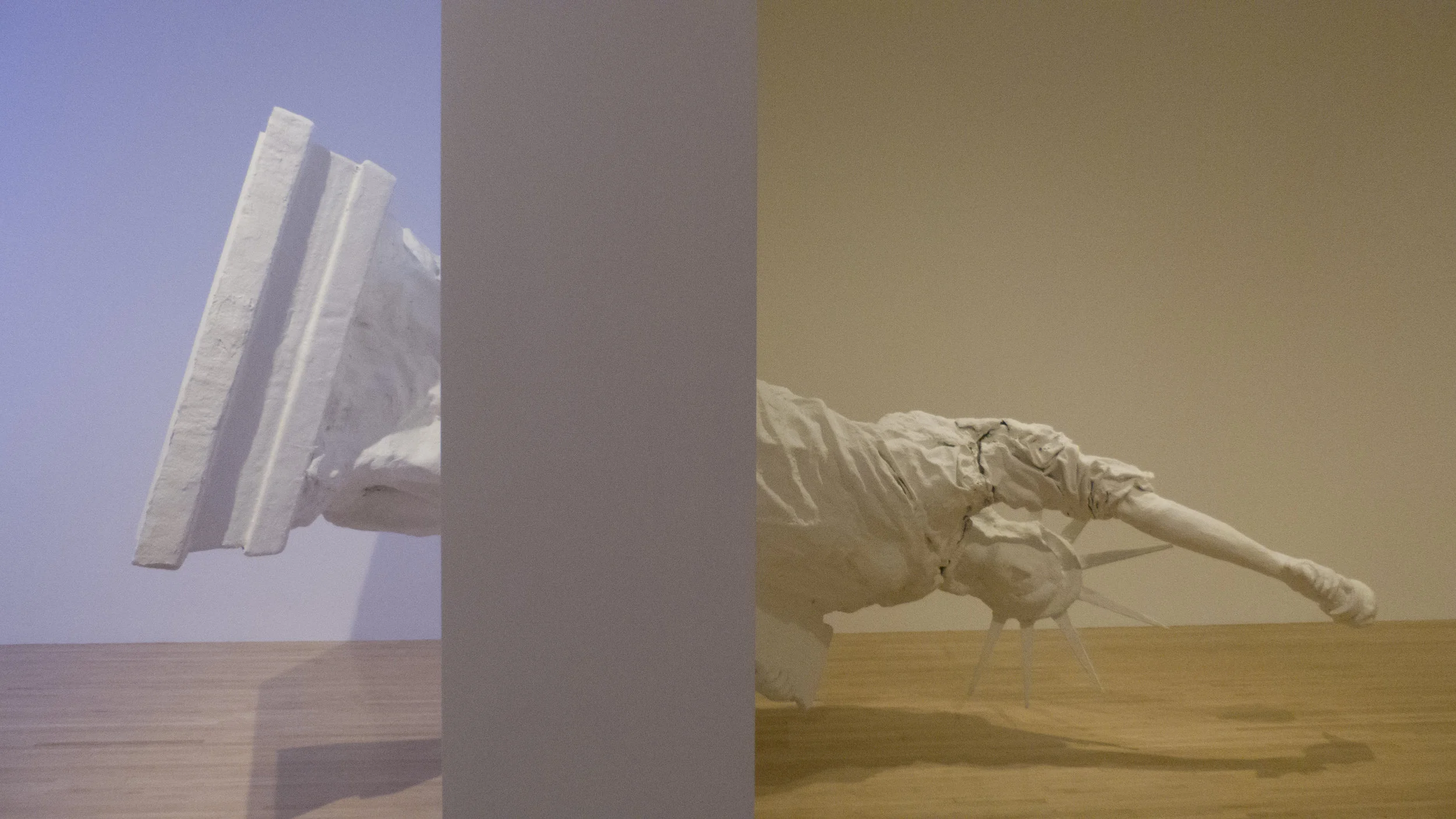 art by daniel joseph martinez / moca, los angeles